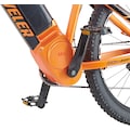 Prophete E-Bike »Graveler 22.ETM.30«, 10 Gang, Shimano, Deore XT, Mittelmotor 250 W