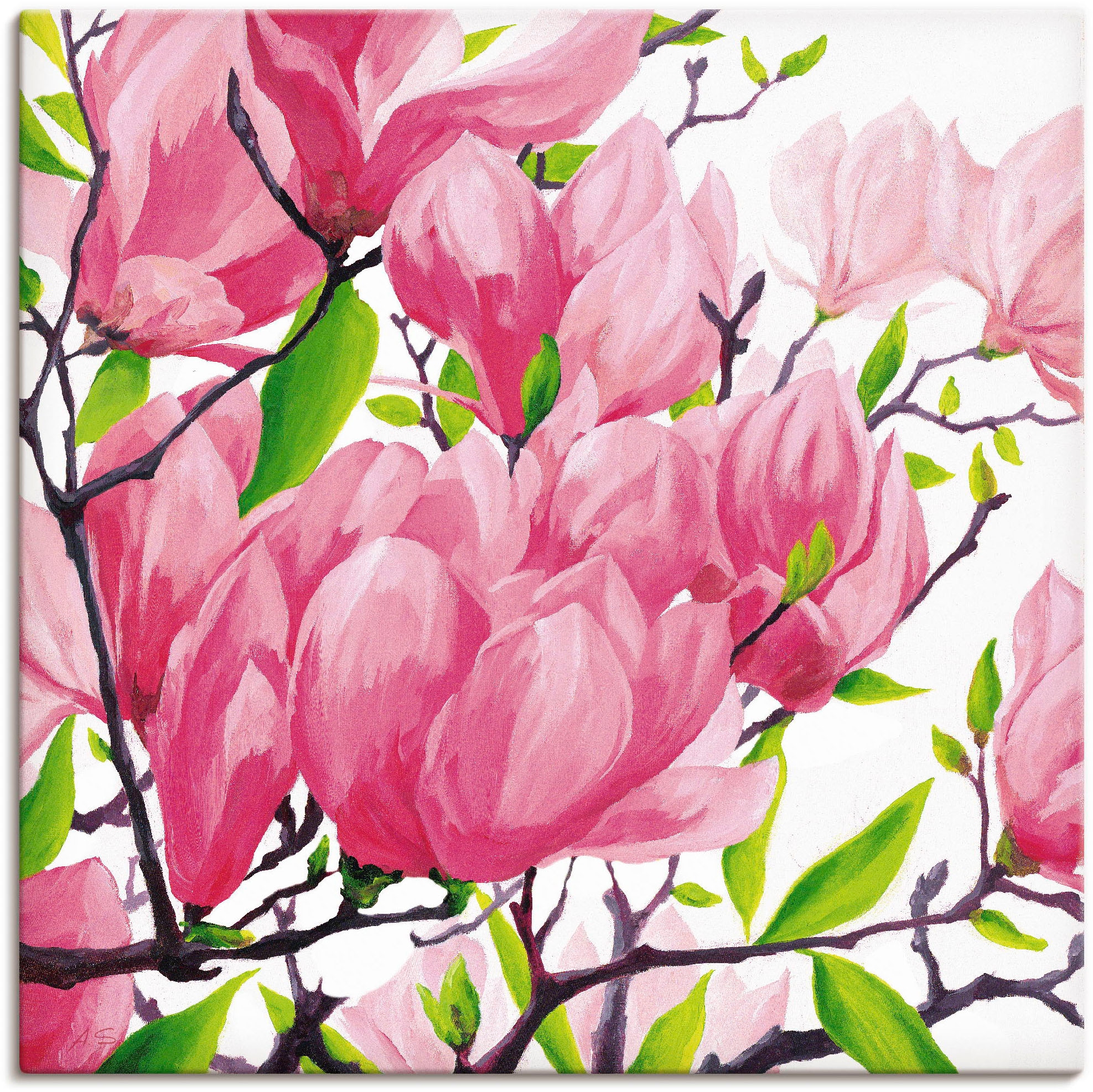 Artland Wandbild »Pinke Magnolien«, Blumen, (1 St.), als Alubild,  Outdoorbild, Leinwandbild in verschied. Größen bei OTTO
