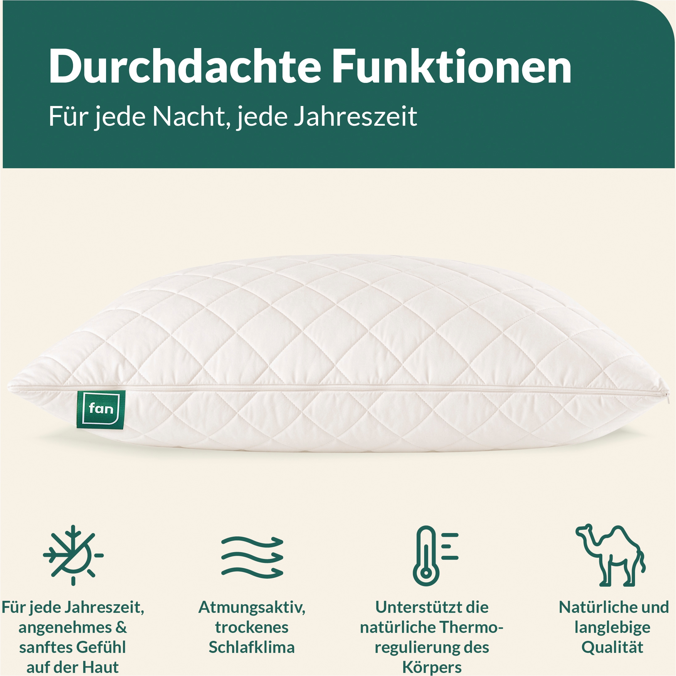 fan Naturfaserkissen »Gobi, Kopfkissen in 40x80 & 80x80 cm, Made in Germany« Füllung: 97Wolle3sonstigeFasern 1 Stk. tlg. Kissenbezug aus Baumwolle mit Kamelhaar versteppt, Füllung aus Wolle