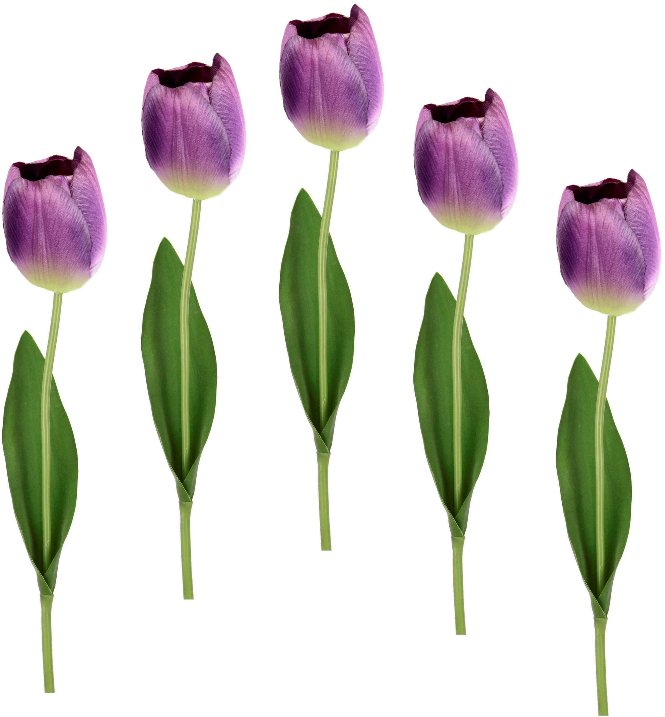 I.GE.A. Kunstblume »Real Touch Tulpen« 5er Set künstliche Tulpenknospen, Kunstblumen, Stielblume
