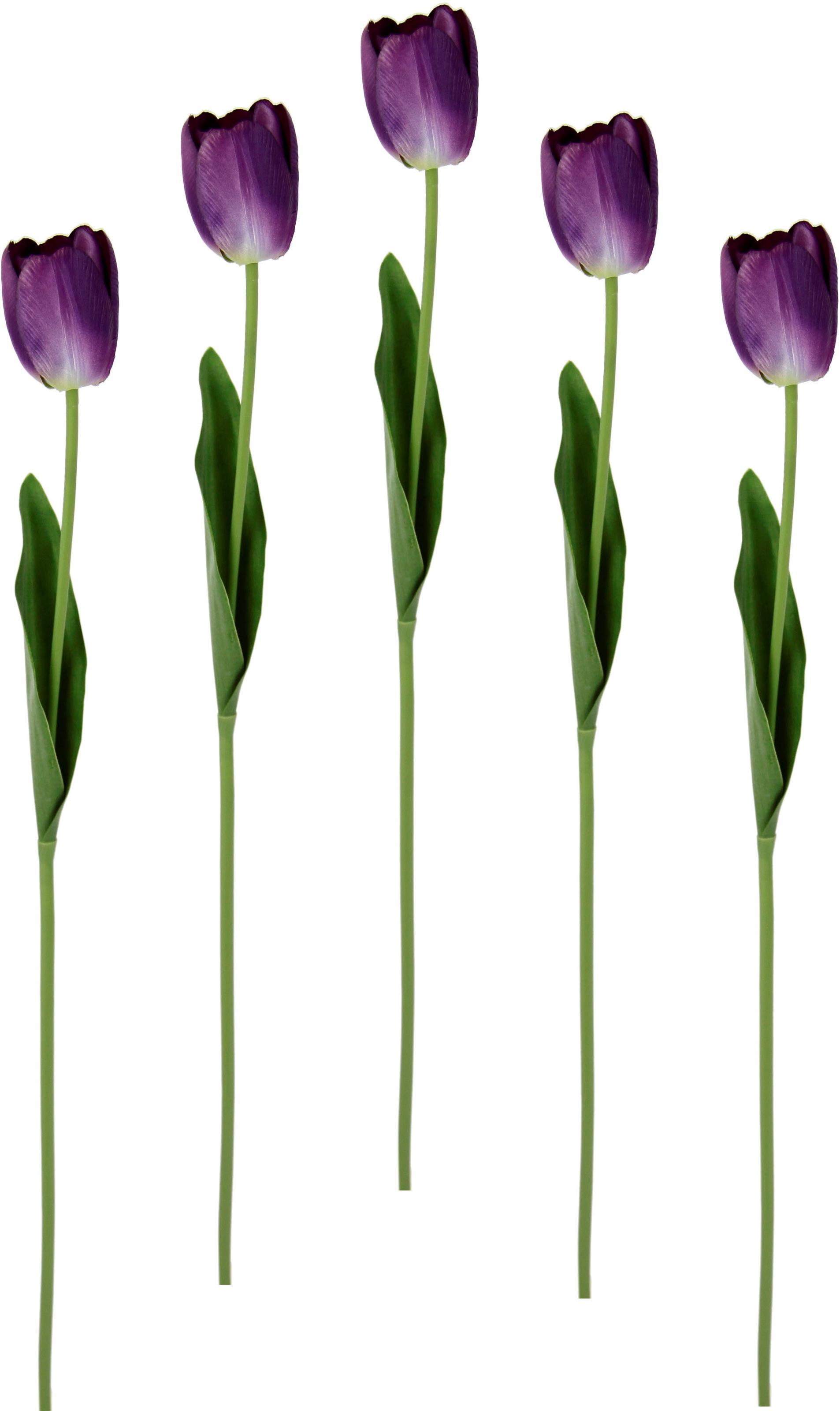 I.GE.A. Kunstblume »Real Touch Tulpen« 5er Set künstliche Tulpenknospen, Kunstblumen, Stielblume