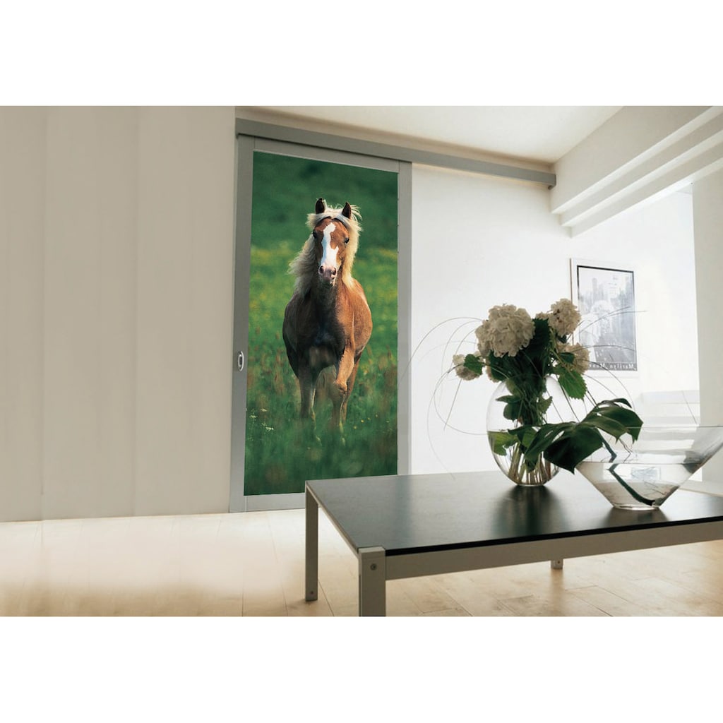 Papermoon Fototapete »Haflinger Horse - Türtapete«, matt