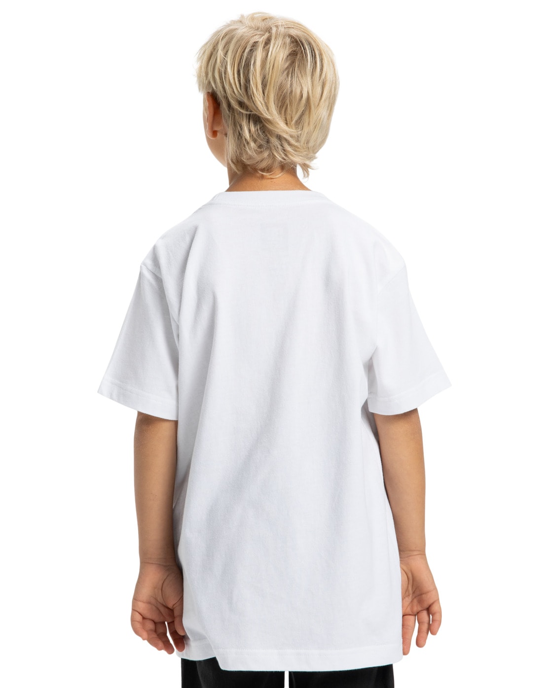 DC Shoes T-Shirt »DC Star Filled«