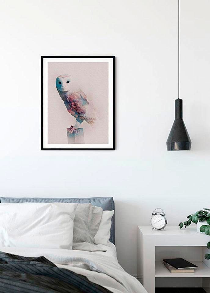 Komar Bild »Animals Forest Owl«, Tiere, (1 St.), Wandbild zur Dekoration - ohne Rahmen