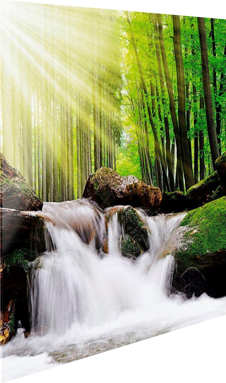 Reinders! Glasbild »Feng Shui Wald«