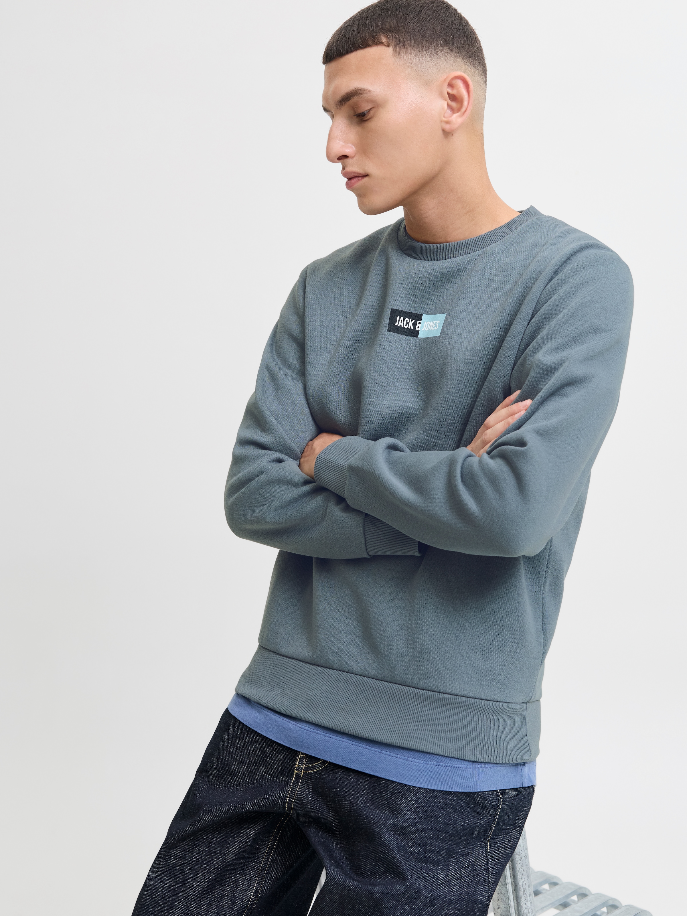 Jack & Jones Sweater »JJPAN SWEAT CREW NECK«