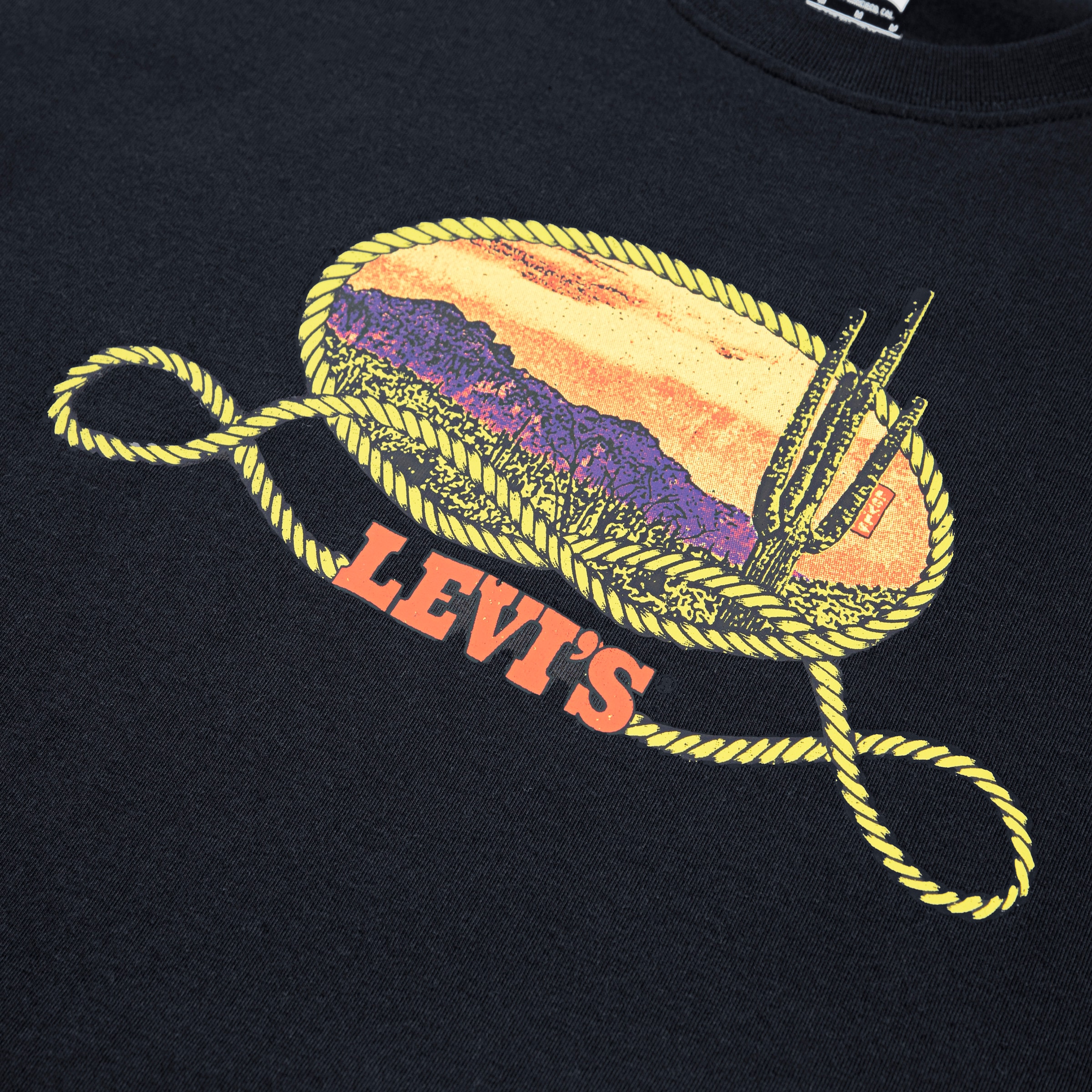 Levi's® Kids T-Shirt »LVB CACTUS IN THE SUNSET«, mit Western-Print