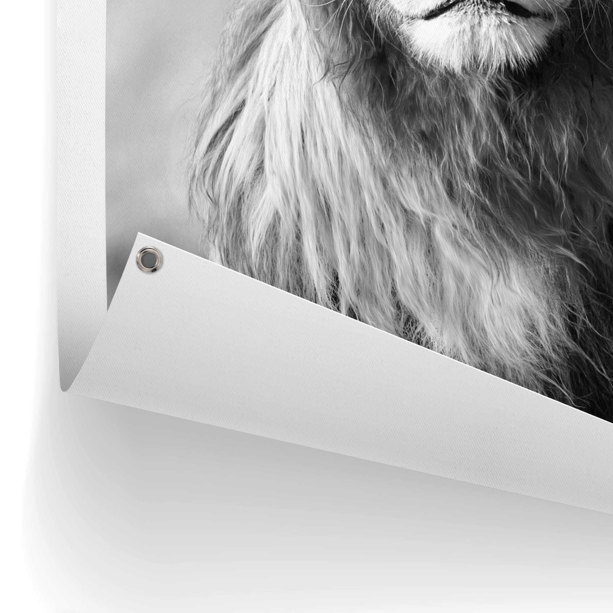 Reinders! Poster »Löwe«, Outdoor für Garten oder Balkon im OTTO Online Shop