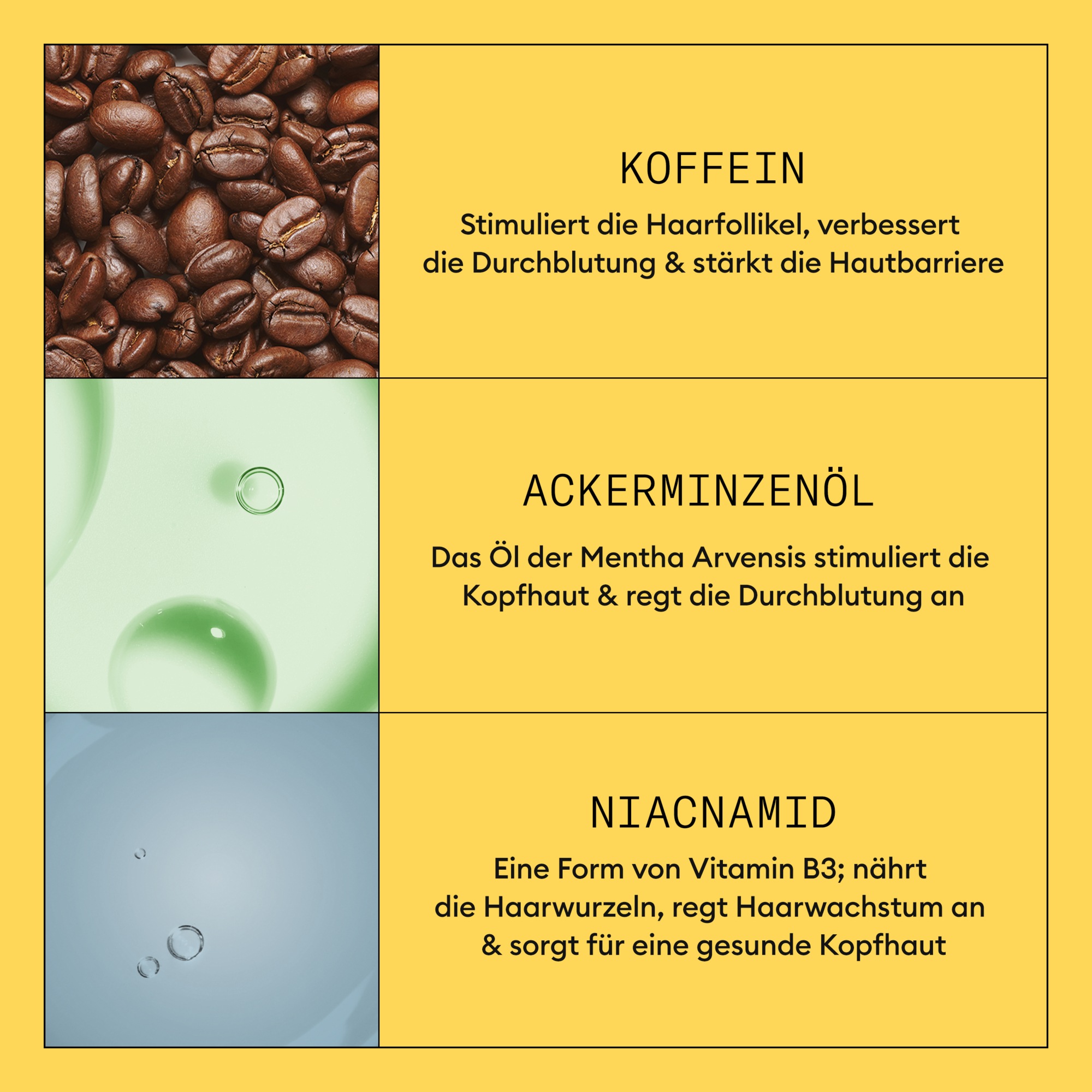 Nioxin Kopfhaut-Pflegelotion »NIOXIN SCALP + HAIR SYSTEM TREATMENT 1« Treatment