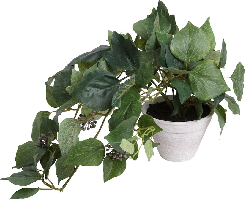 I.GE.A. Künstliche Zimmerpflanze »Philo« online bei OTTO