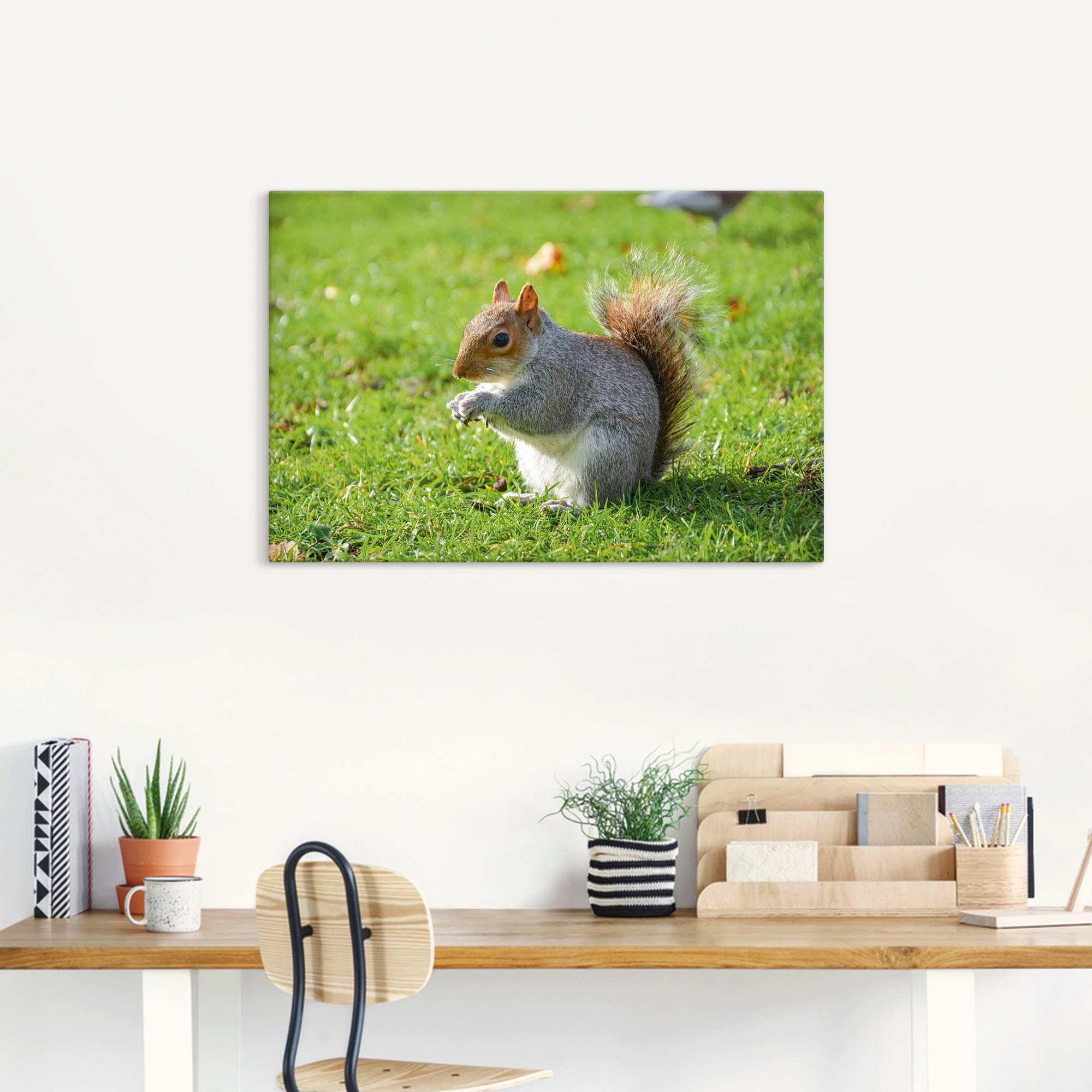 Artland Leinwandbild »Graues Eichhörnchen«, Wildtiere, (1 St.), auf Keilrahmen gespannt