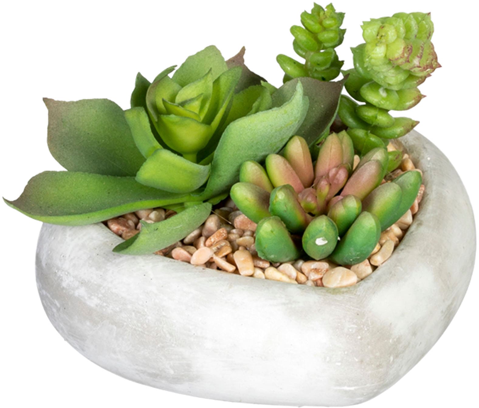 Creativ green Künstliche Zimmerpflanze »Sukkulentenarrangement«, in Zementschale, 3er Set