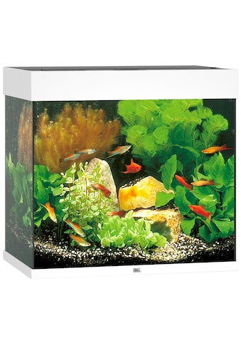 JUWEL AQUARIEN Aquarium »Lido 120 LED«, BxTxH: 61x41x58 cm, 120 l kaufen