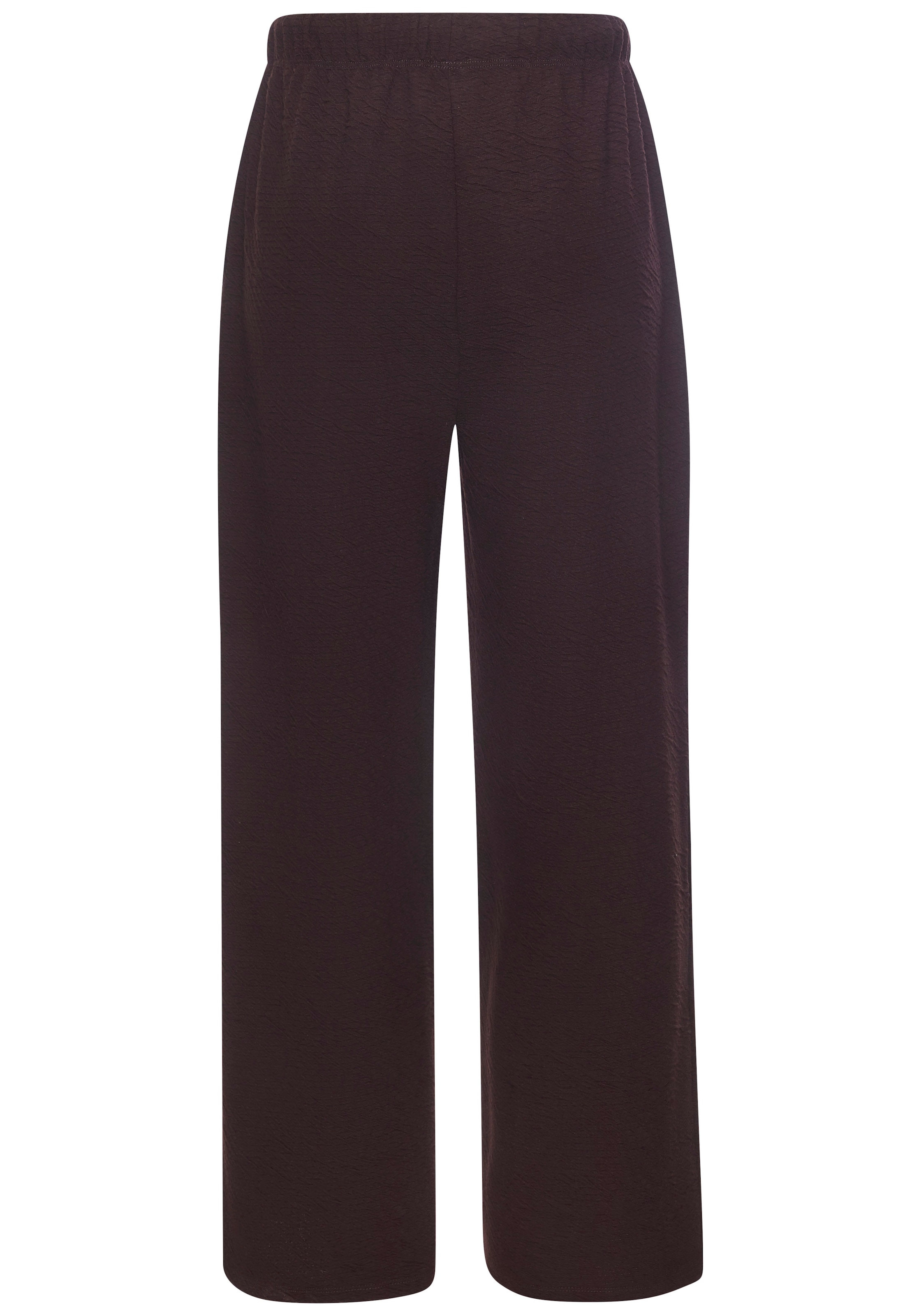 Venice Beach Sweathose