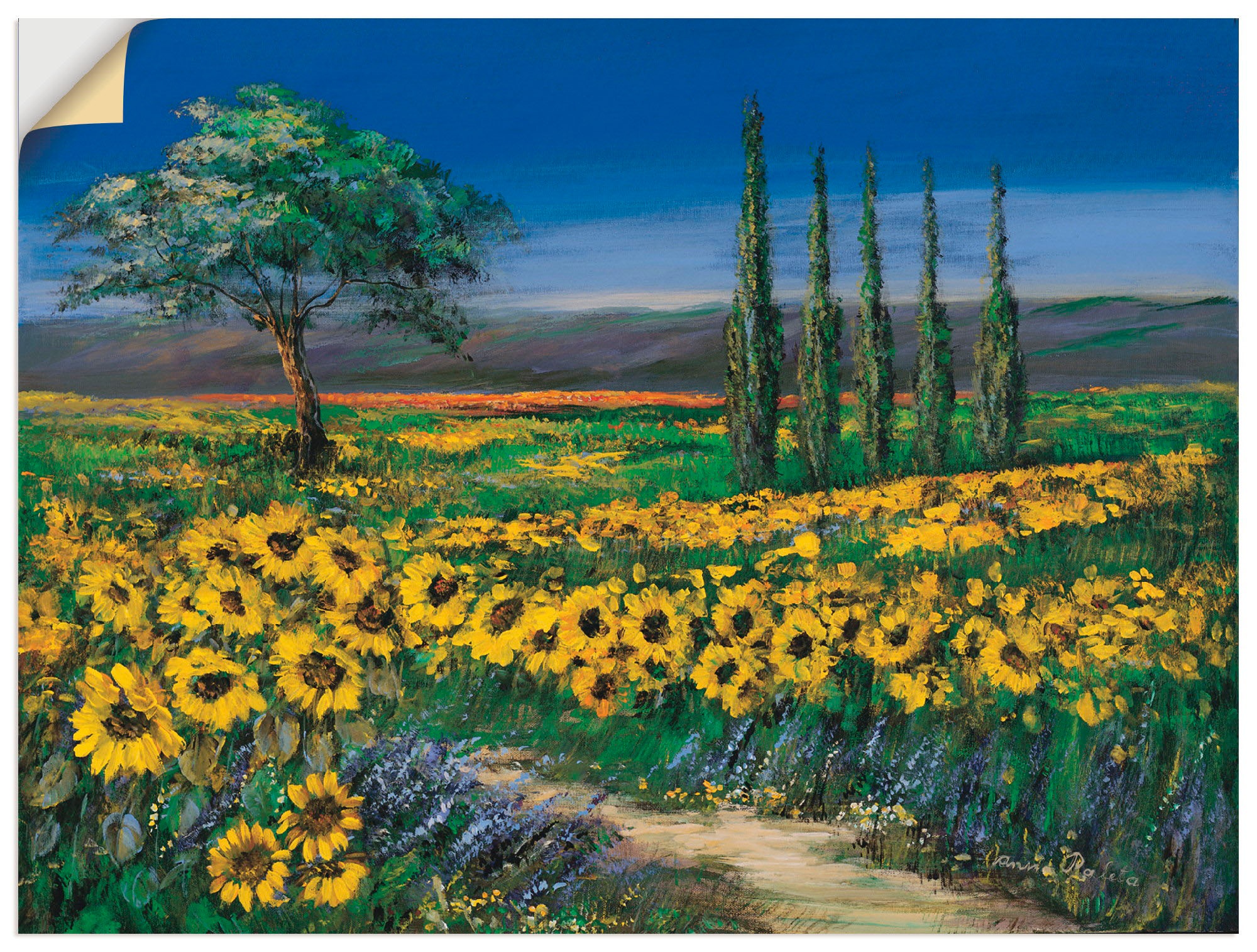 Artland Wandbild »Sonnenblumenfeld«, Blumen, (1 St.), in vielen Größen & Produktarten -Leinwandbild, Poster, Wandaufkleber / Wandtattoo auch für Badezimmer geeignet