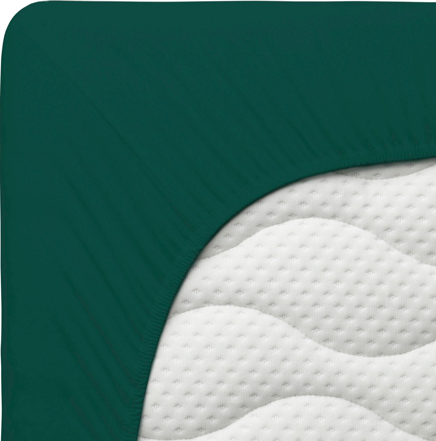 Schlafgut Spannbettlaken »PURE Bio-Baumwolle mit Elasthan, 170 g/m², Bettlaken, Spannbetttuch« PREMIUM Laken für Matratzen bis 30cm Höhe, dehnbar blickdicht, straff