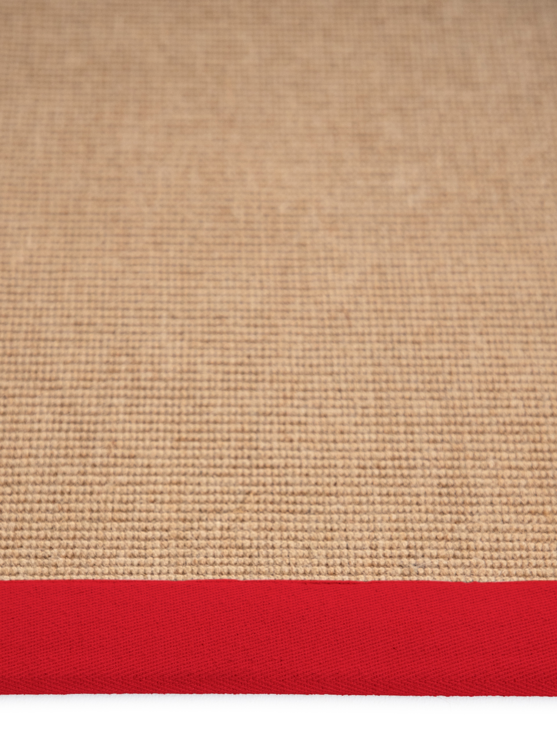 carpetfine Läufer »Sisal«, rechteckig, 5 mm Höhe, mit farbiger Bordüre, Anti Rutsch Rückseite
