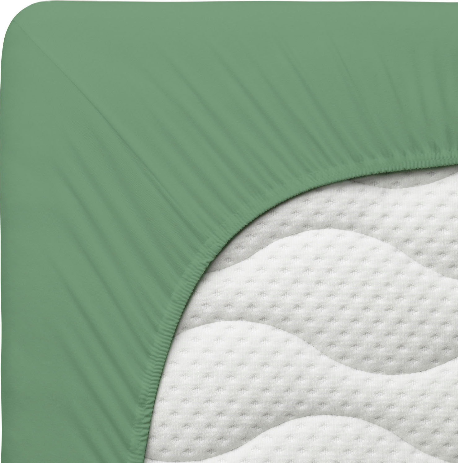 Schlafgut Spannbettlaken »PURE Bio-Baumwolle mit Elasthan, dehnbar blickdicht, straff, Bettlaken«, PREMIUM Laken für Matratzen bis 30cm Höhe, in 90x200, 140x200, 180x200