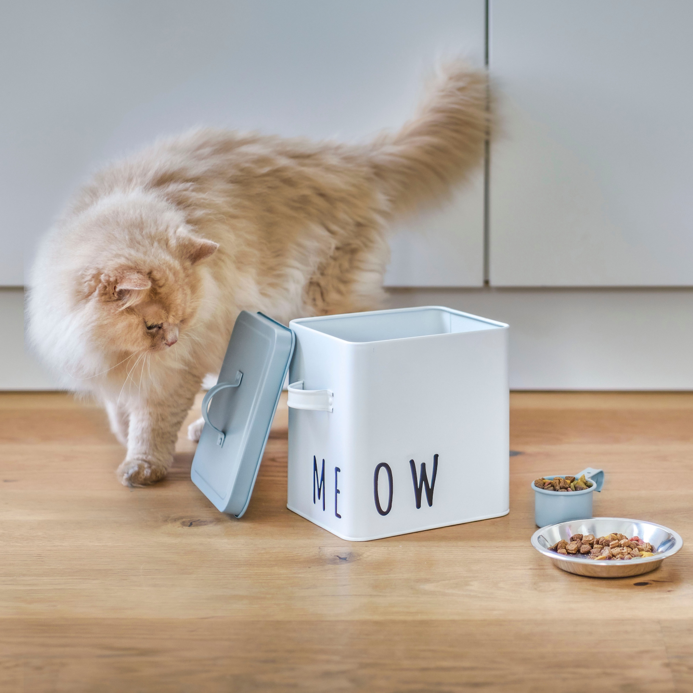 Zeller Present Vorratsdose (2 OTTO tlg.), für bei »Meow«, Katzenfutter bestellen