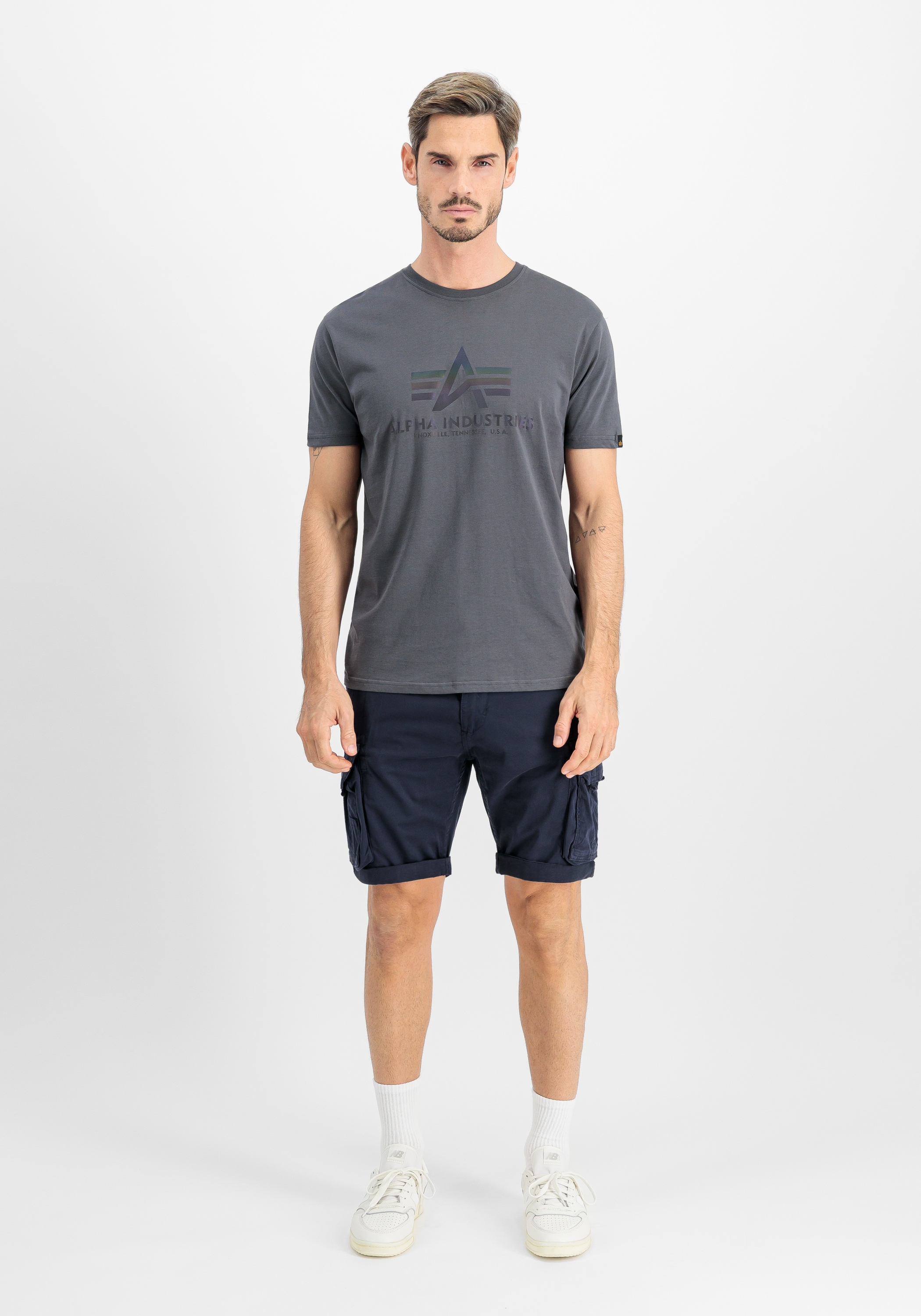 Alpha Industries T-Shirt »Basic T-Shirt BL Rainbow Ref.«