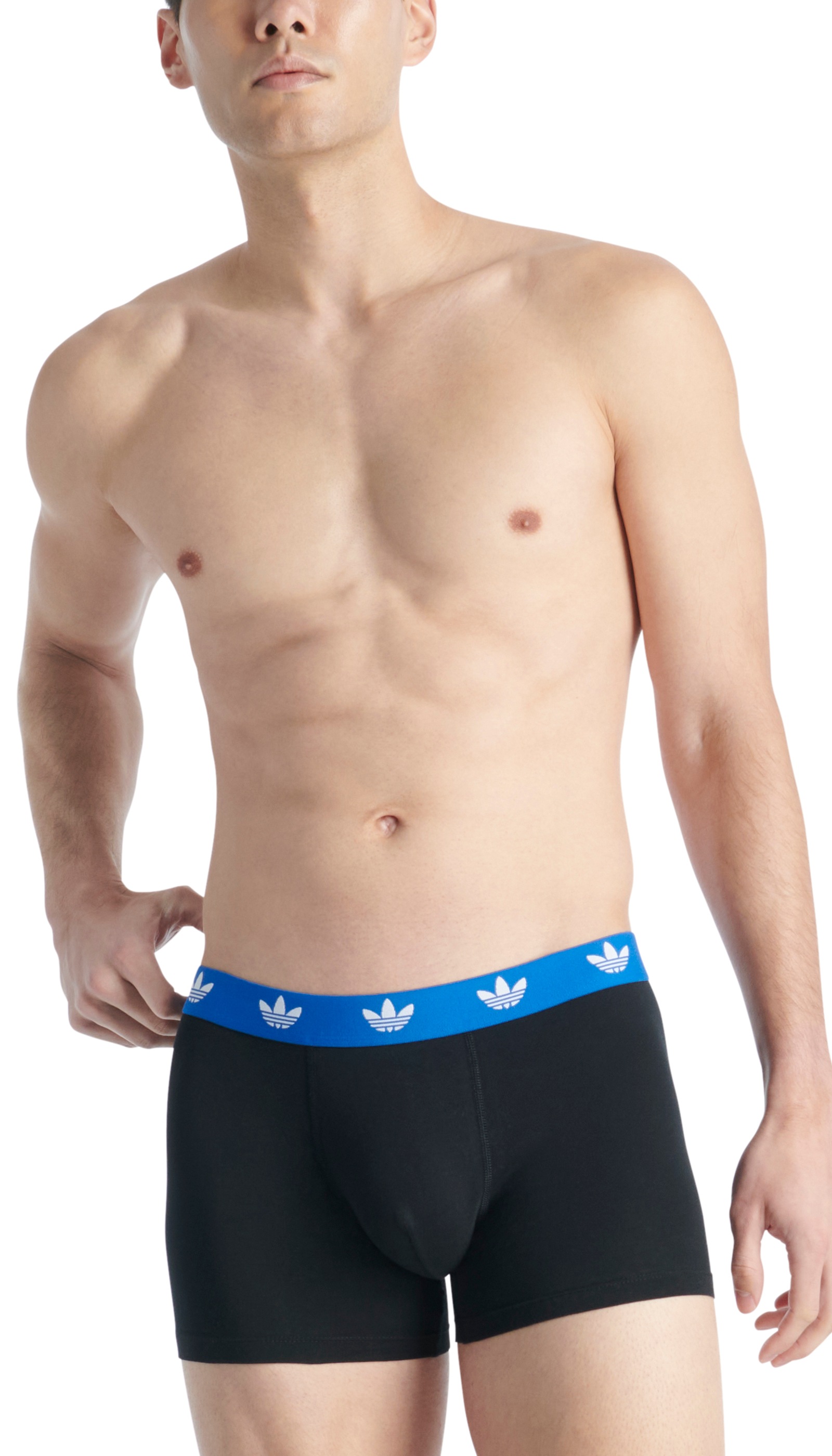 adidas Originals Trunk »Comfort Flex Cotton«, (2er Pack), mit elastischem Logobund für Komfort