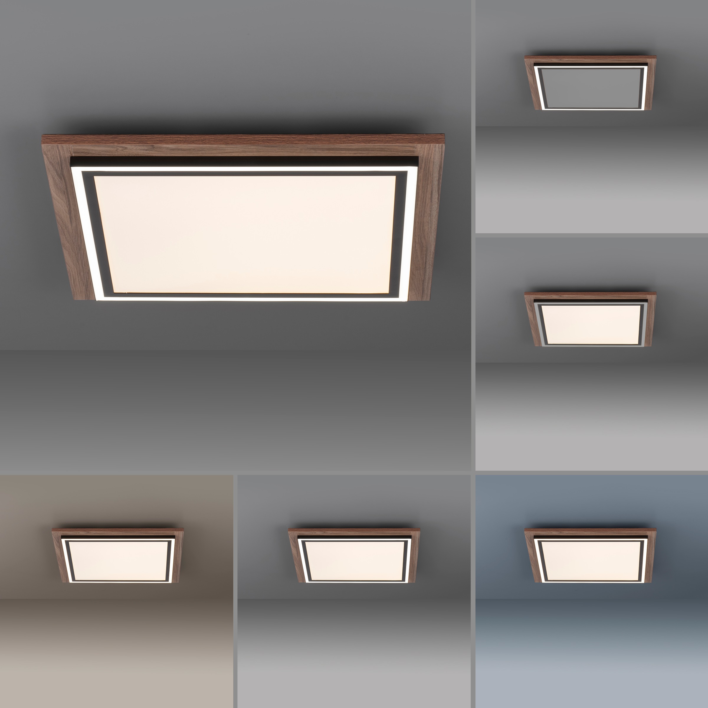 Paul Neuhaus Deckenleuchte »PALMA«, 2 flammig, Leuchtmittel LED-Board-LED-Board | LED fest integriert, CCT - über Fernbedienung, dimmbar über Fernbedienung, Serienschalter