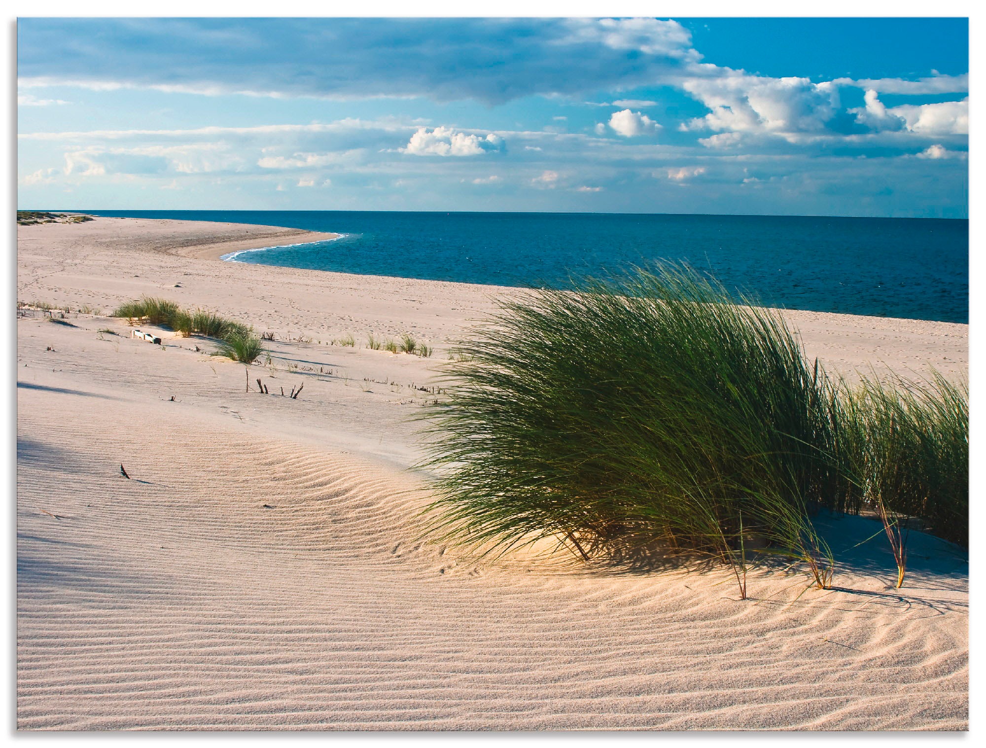 Wandbild »Gras am Strand«, Strand, (1 St.), als Alubild, Outdoorbild, Leinwandbild in...