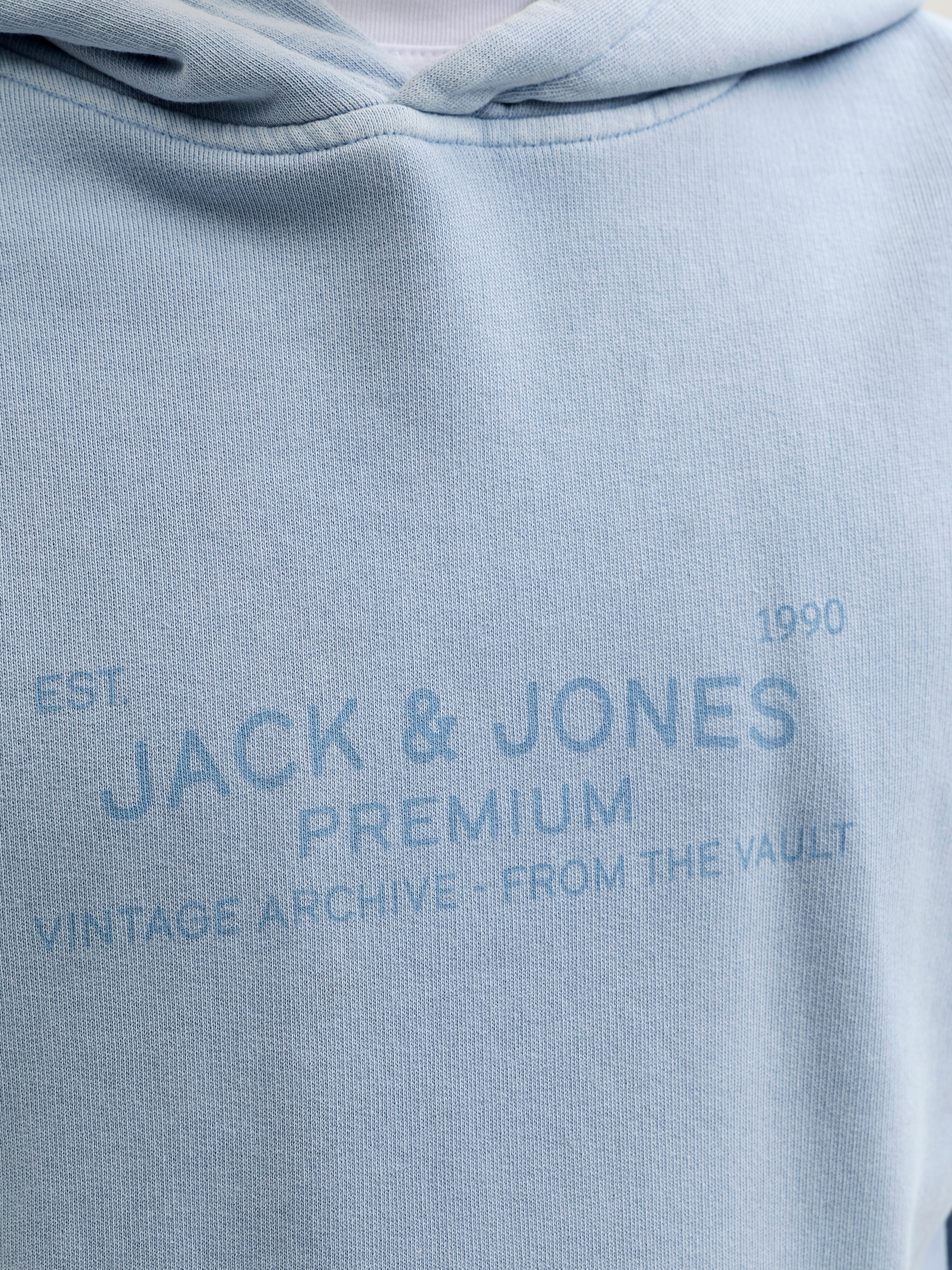 Jack & Jones Kapuzensweatshirt »JPRBLUAIDEN HOOD SWEAT«, Baumwolle, regular fit
