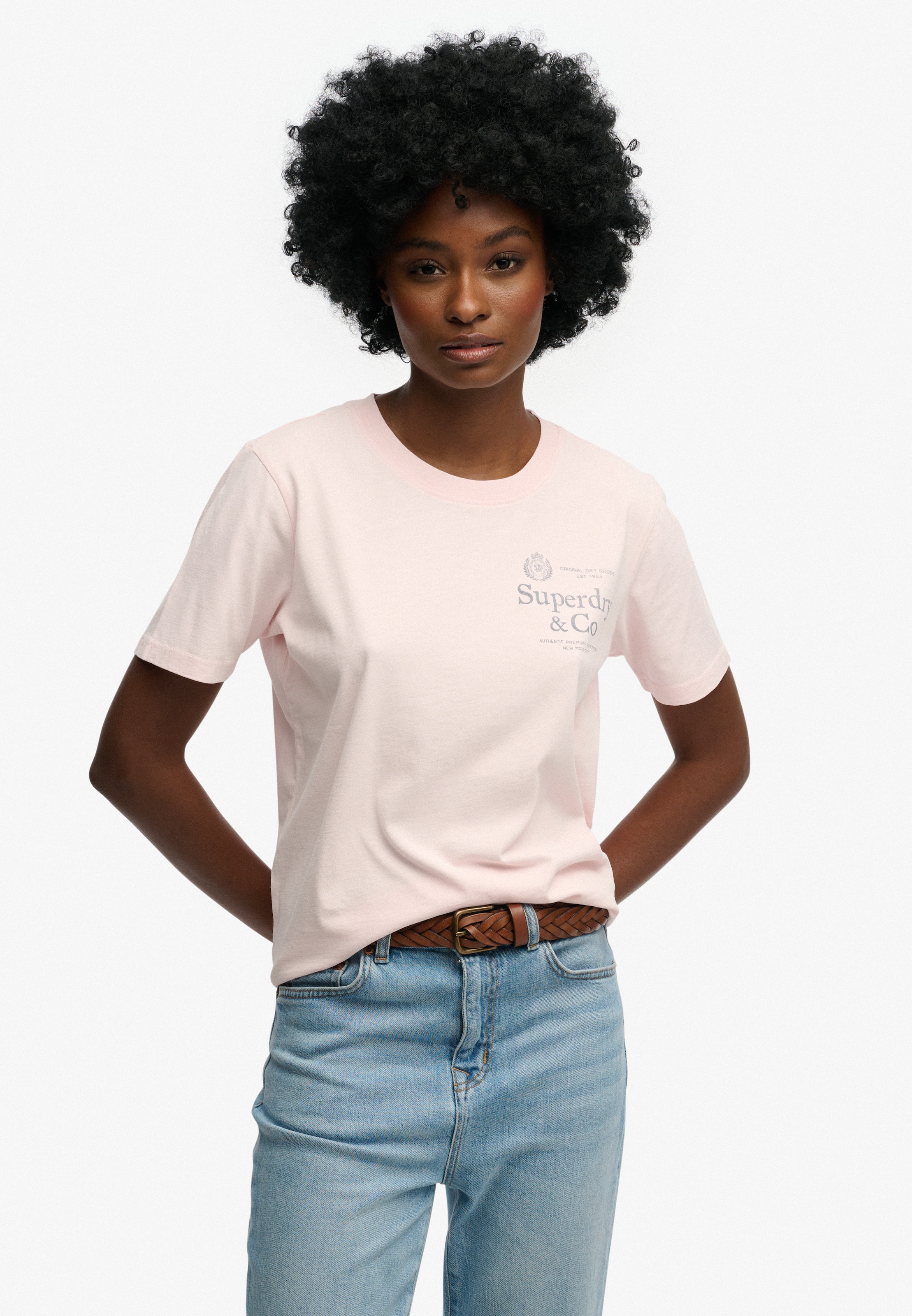 Superdry Print-Shirt »LUXE CASUAL RLXD TEE«