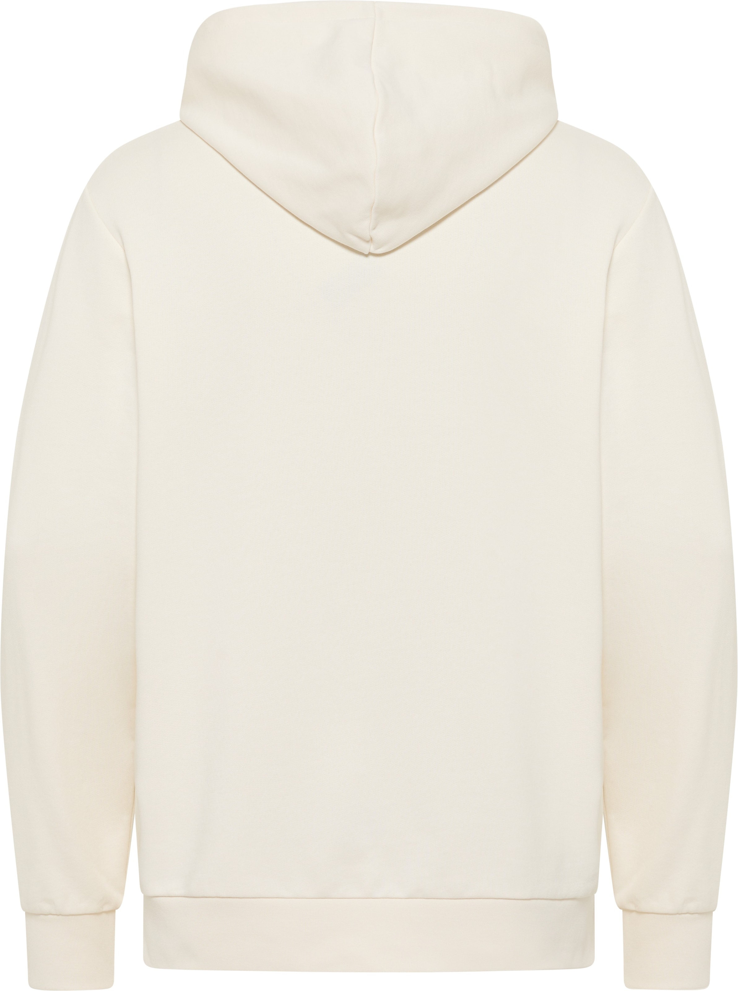 Jack Wolfskin Kapuzenpullover »ESSENTIAL HOODIE M«