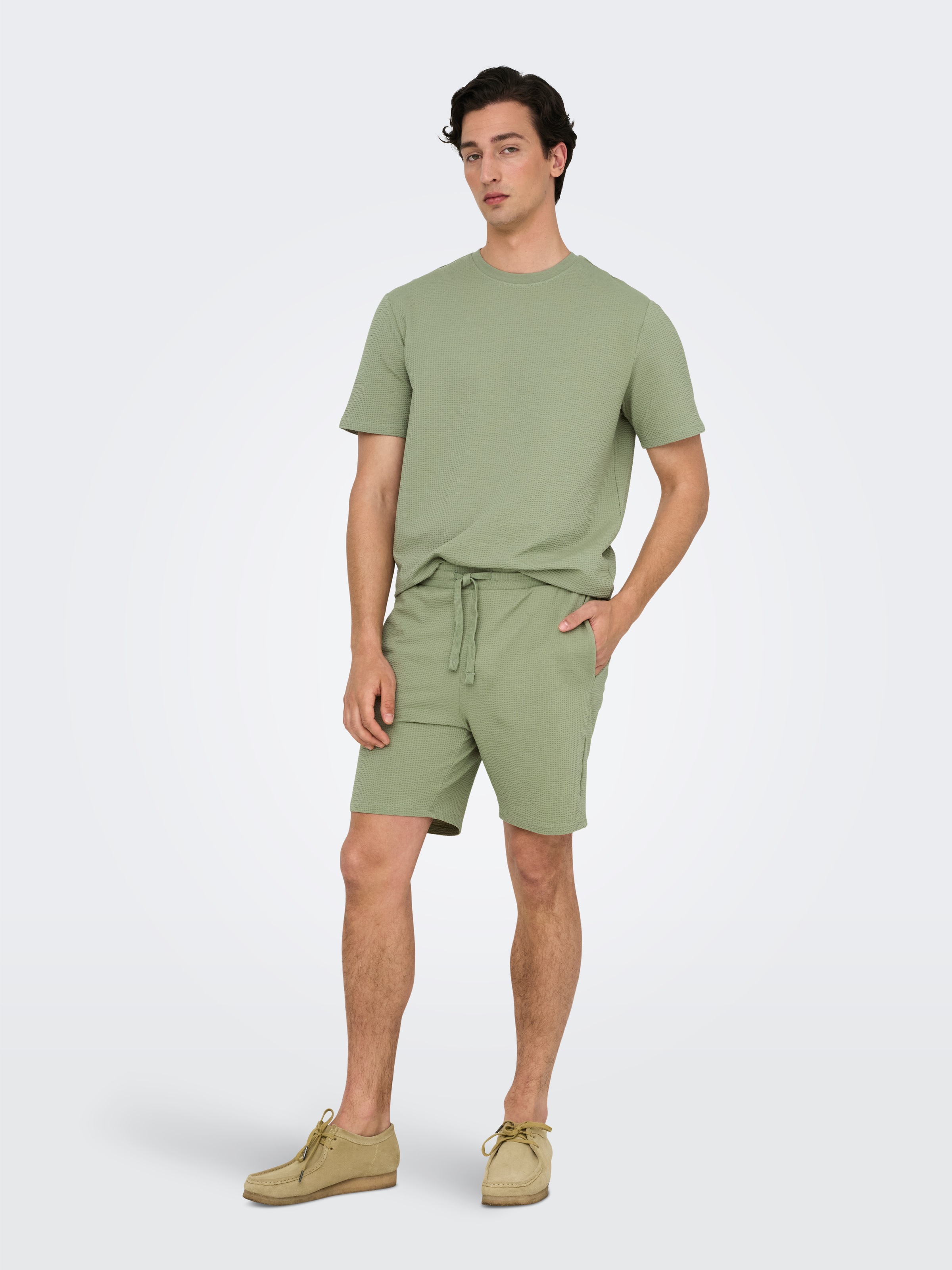 ONLY & SONS Rundhalsshirt »ONSKIAN LIFE REG SEERSUCKER SS TEE NOOS«