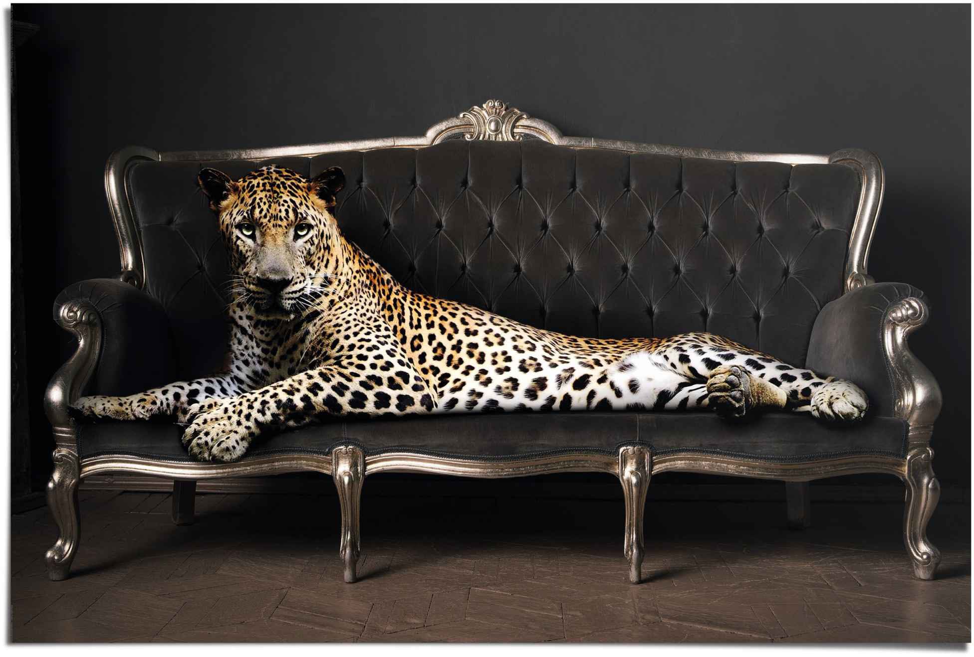 Reinders! Poster »Leopard Chic Relax«, Liegend (1 - Panther - OTTO St.) Luxus bei 