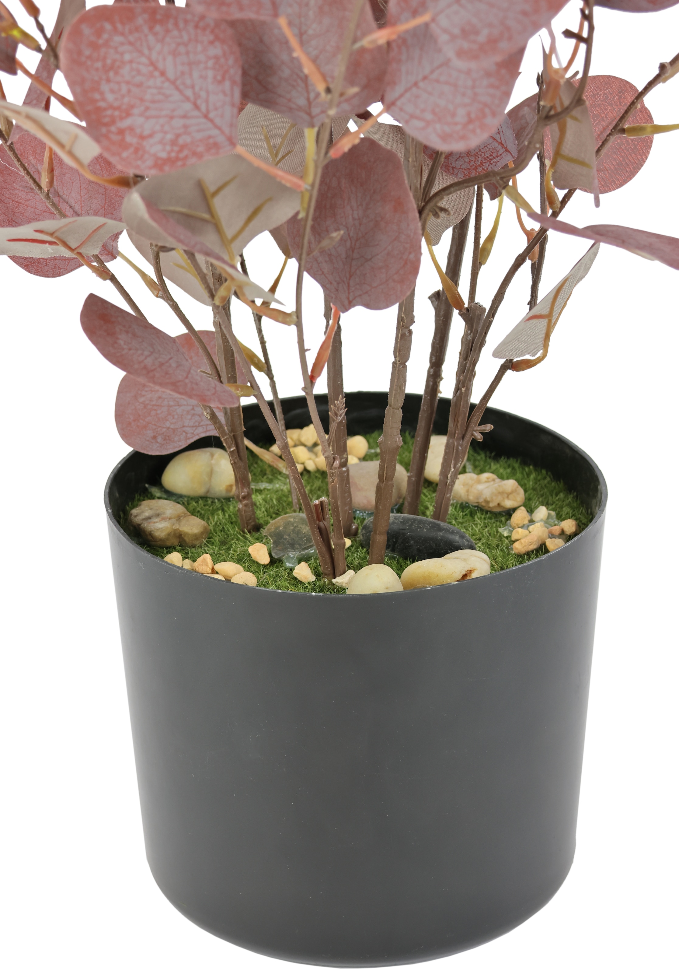 I.GE.A. Kunstpflanze »Eukalyptuspflanze« Im Topf künstlicher Eukalyptus Eukalyptusbaum Eukalyptusbusch Pflanze