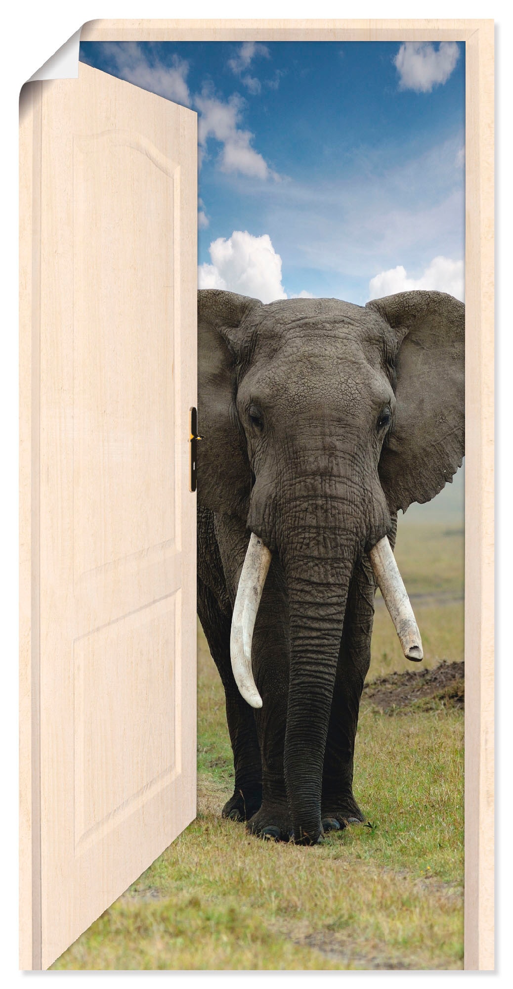 Wandbild auf (1 bei weiße mit Wandaufkleber »Offene Alubild, St.), Artland Elefant«, OTTO oder in Wildtiere, versch. als Türe Poster Größen online Blick Leinwandbild,