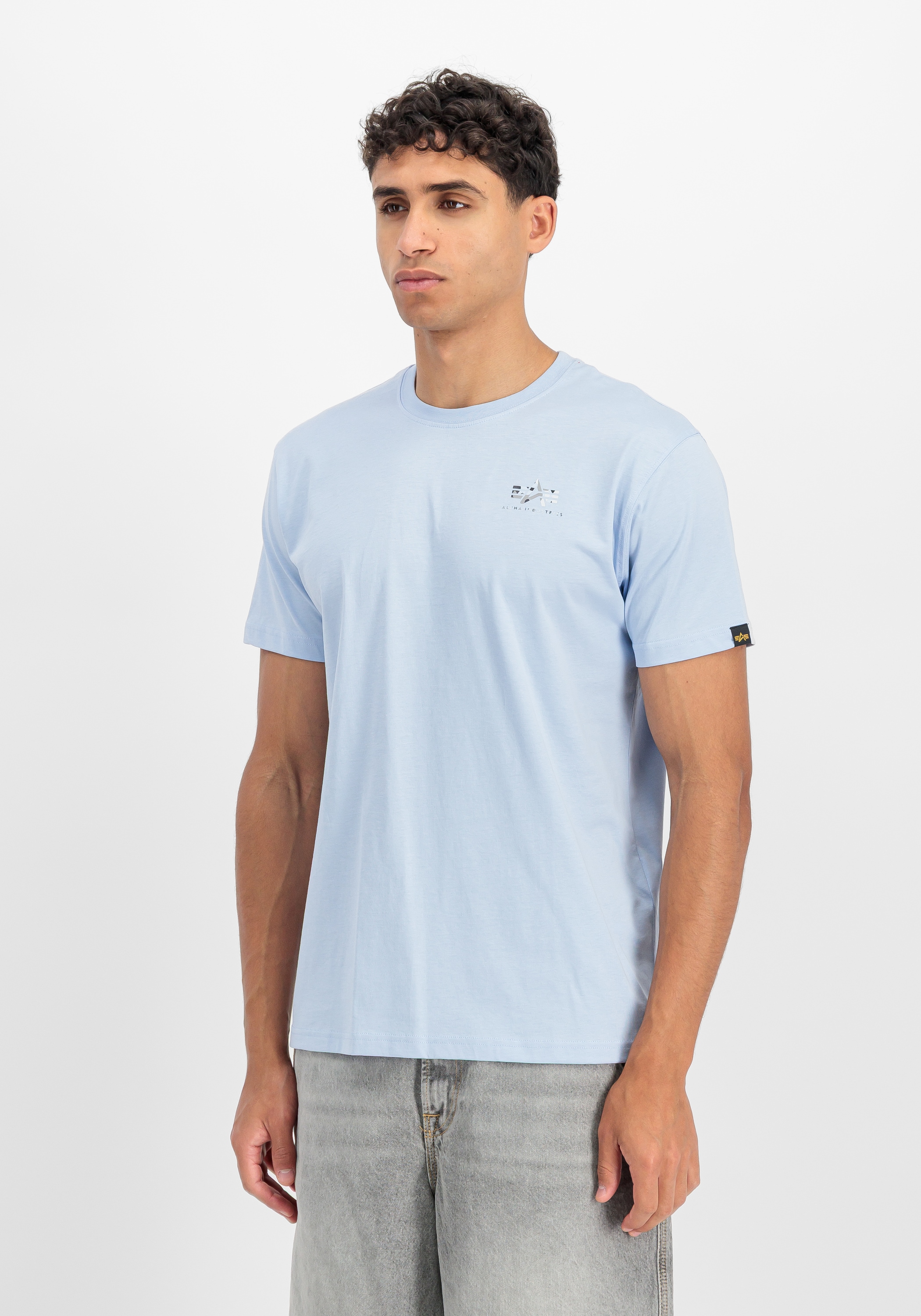 Alpha Industries T-Shirt »Backprint T-Shirt Mirror Camo«