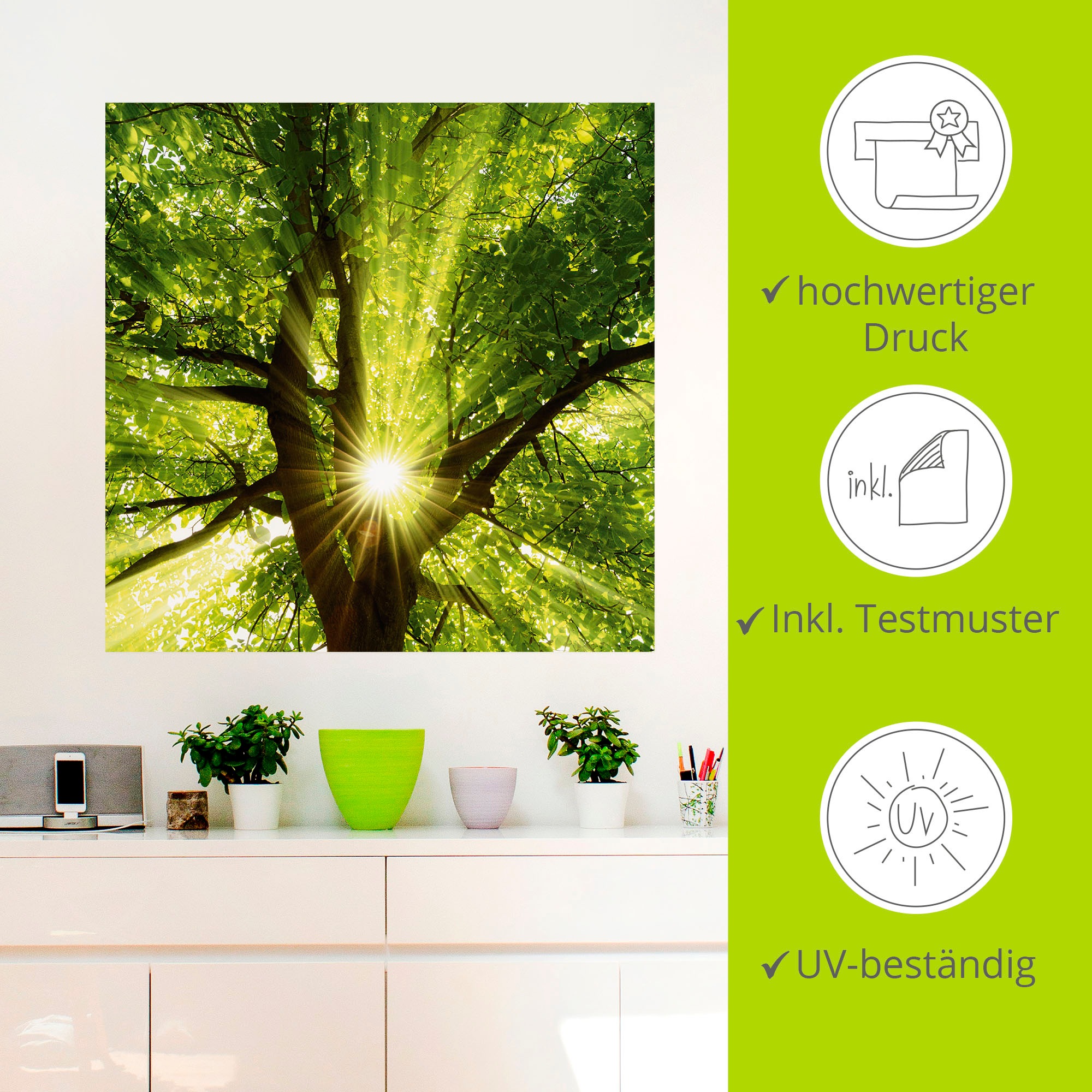 Artland Wandbild »Sonne strahlt explosiv durch den Baum«, Bäume, (1 St.), als Leinwandbild, Poster, Wandaufkleber in verschied. Größen