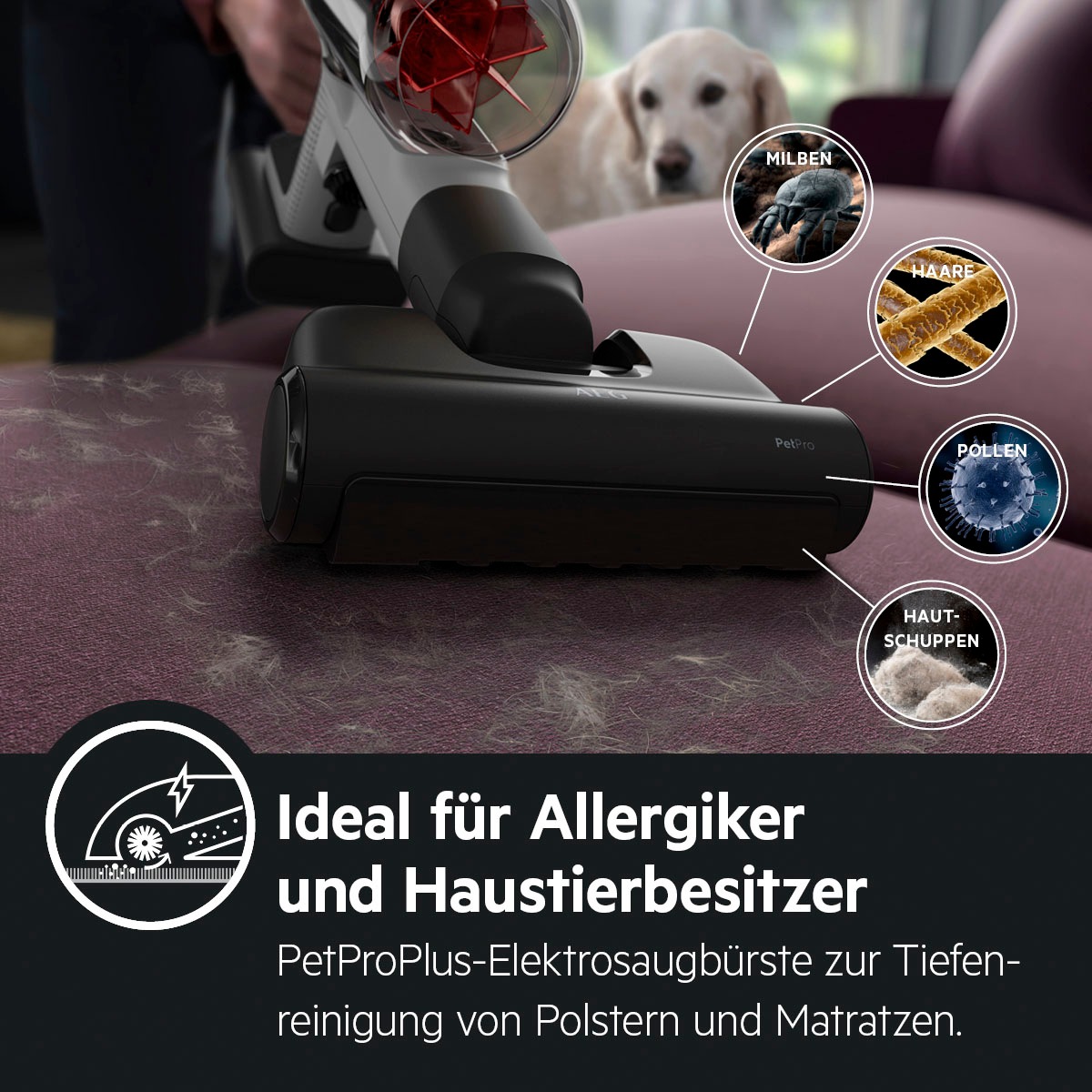 AEG Akku-Hand-und Stielstaubsauger »ANIMAL 8000 AP81AB25UG«, mit PetProPlus-Elektrosaugbürste