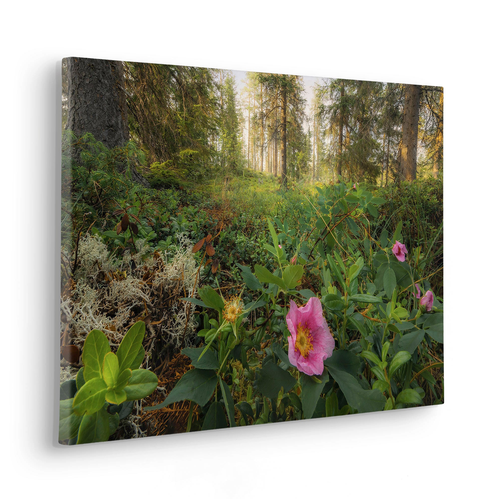 Leinwandbild »Keilrahmenbild - Charming Woods - Größe 60 x 40 cm«,...