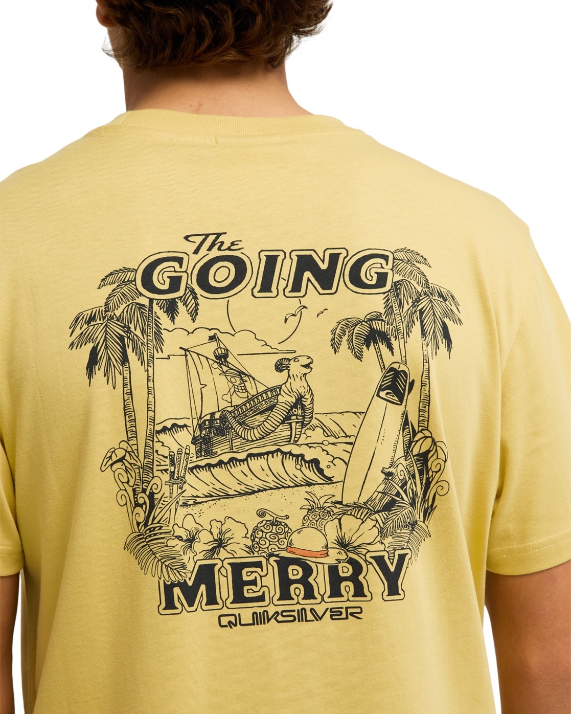 Quiksilver T-Shirt »One Piece Merry«
