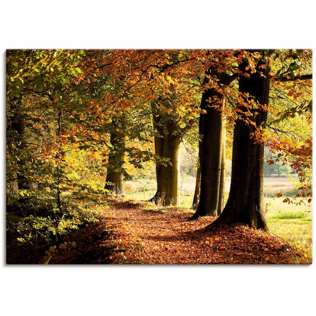 versch. Wandaufkleber Poster Alubild, Shop Leinwandbild, im St.), »Herbstfarben«, (1 Bäume, Artland kaufen in Größen Online oder als Wandbild OTTO