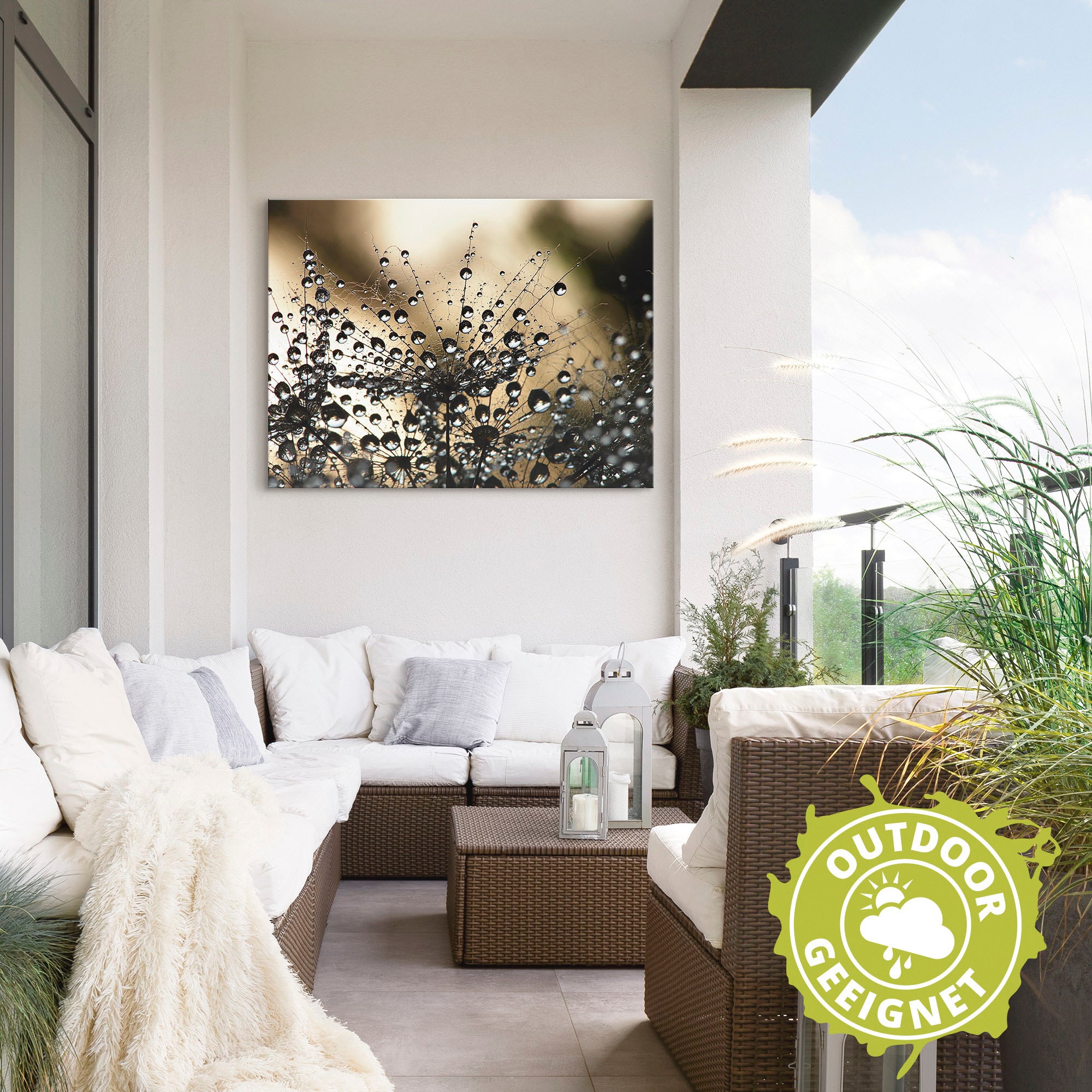 Artland Wandbild »Nasser Löwenzahn« Blumen 1 Stk. tlg. als Alubild, Leinwandbild in verschied. Größen