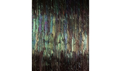Komar Fototapete »Dark Wings«, minimalistisch-bedruckt-natürlich, Größe: 200 x 250 cm... kaufen