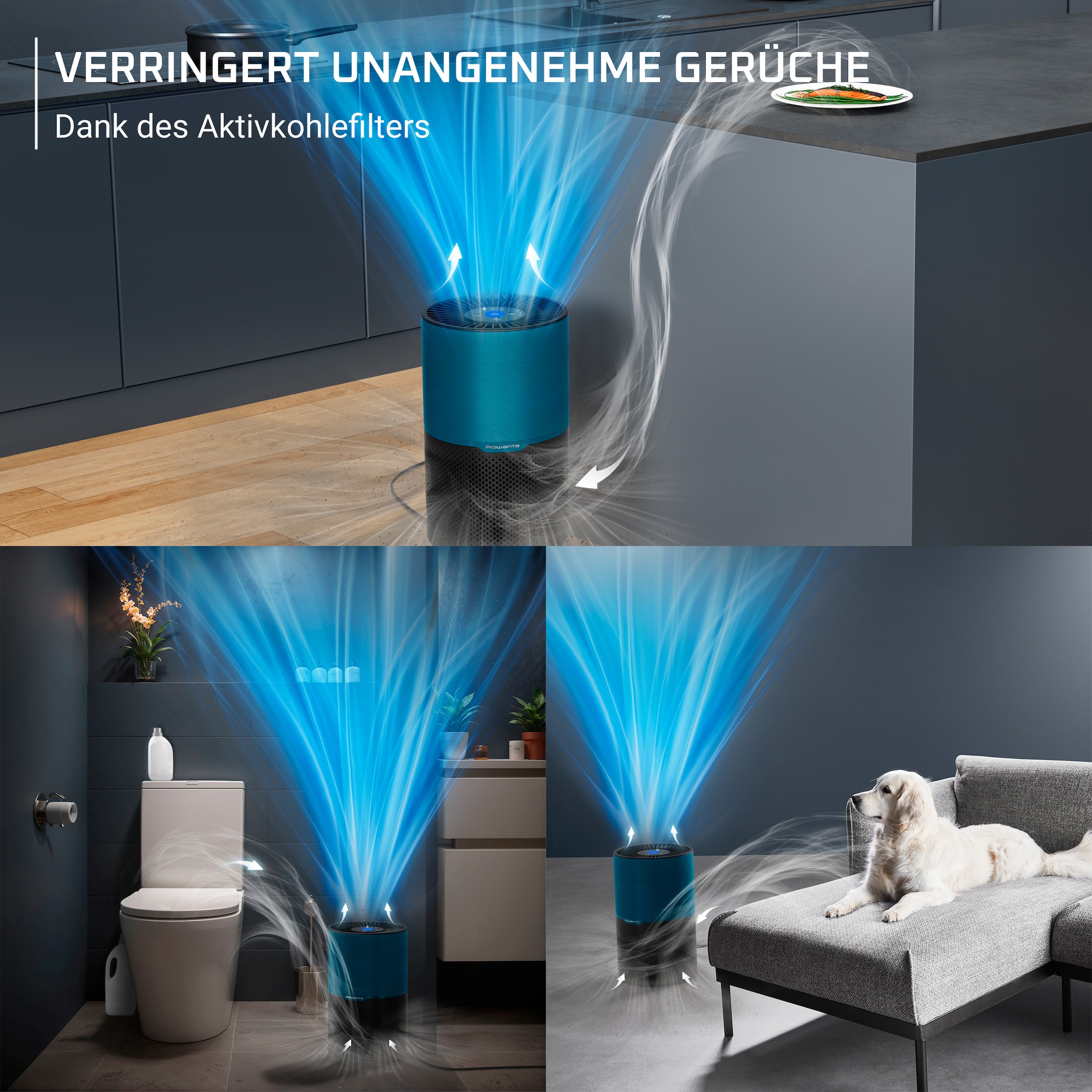 Rowenta Luftreiniger »Pure Air Compact, Echtzeit-Luftqualitätsanzeige« für 52 qm Räume 3-in-1 Filterung, Energieeffizienter Luftreiniger mit Digitalmotor