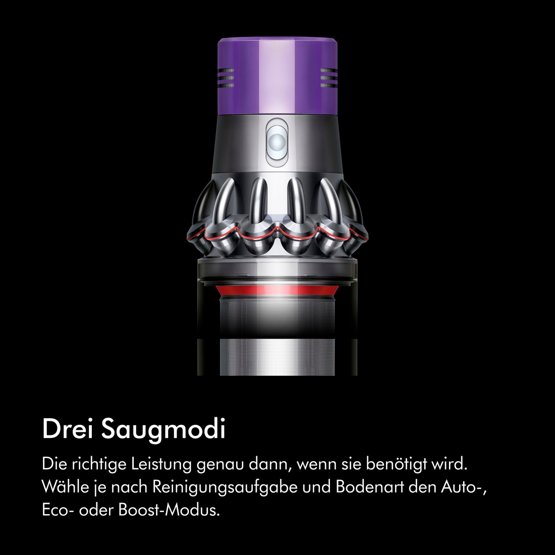 DYSON Akku-Hand-und Stielstaubsauger »V10 Absolute«
