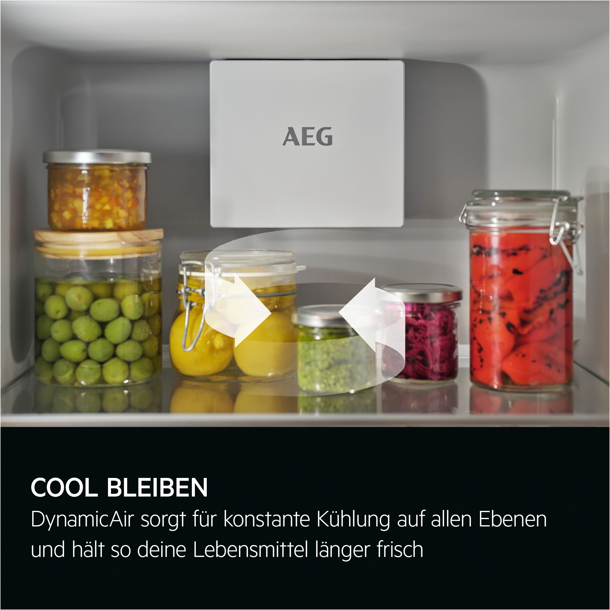 AEG Einbaukühlschrank 6000 »TK6DS181DC 923584343« 176,9 cm hoch 55,7 cm breit DynamicAir: Für gleichmäßige Kälteverteilung
