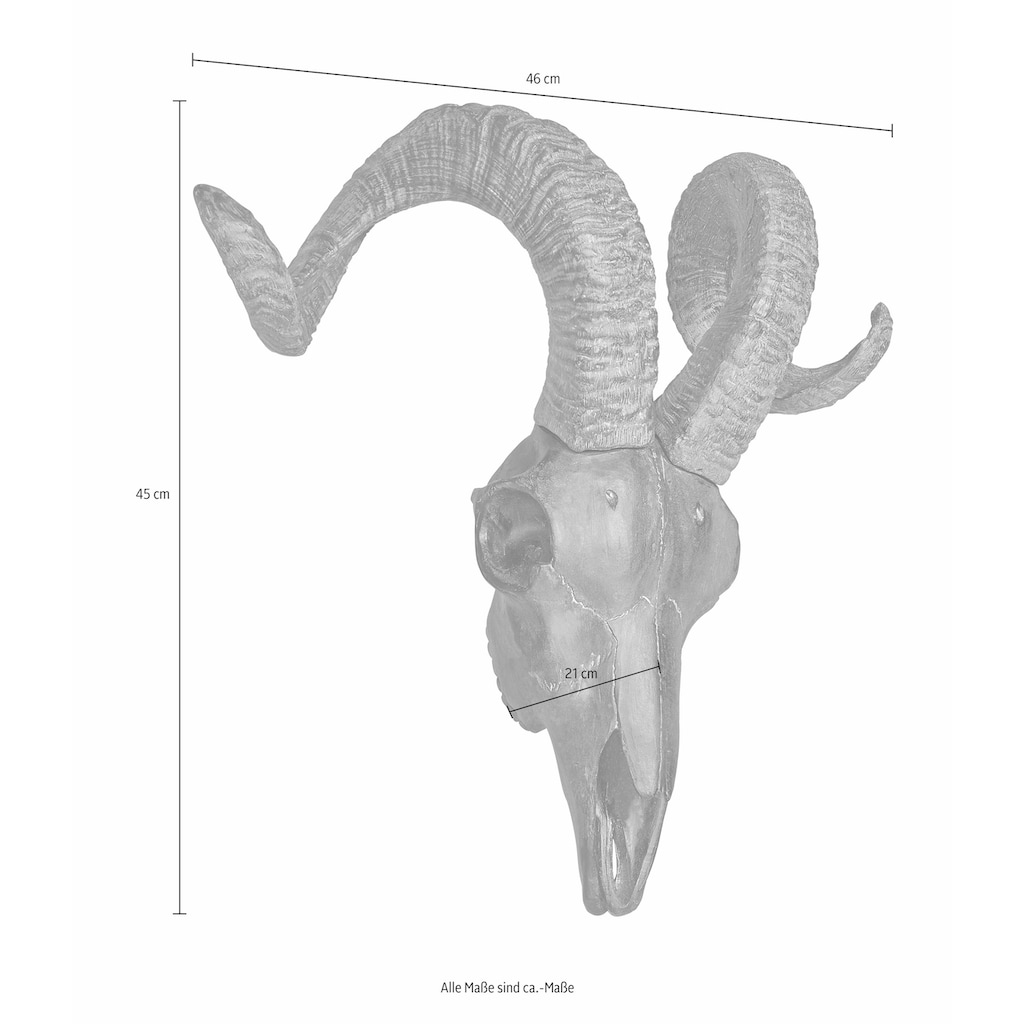 HOFMANN LIVING AND MORE Wanddekoobjekt »Wanddeko Ziegenkopf«