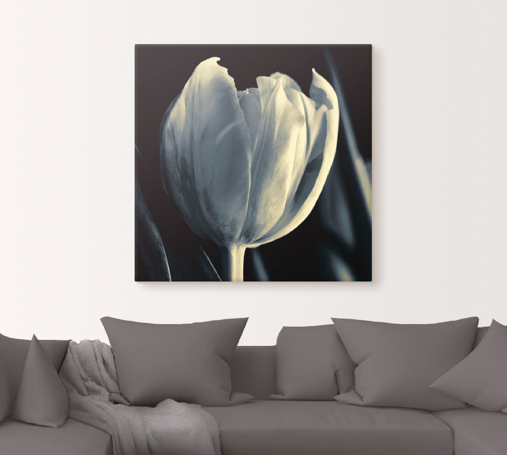 Artland Wandbild »Tulpe«, Blumen, (1 St.), als Leinwandbild, Wandaufkleber oder Poster in versch. Größen