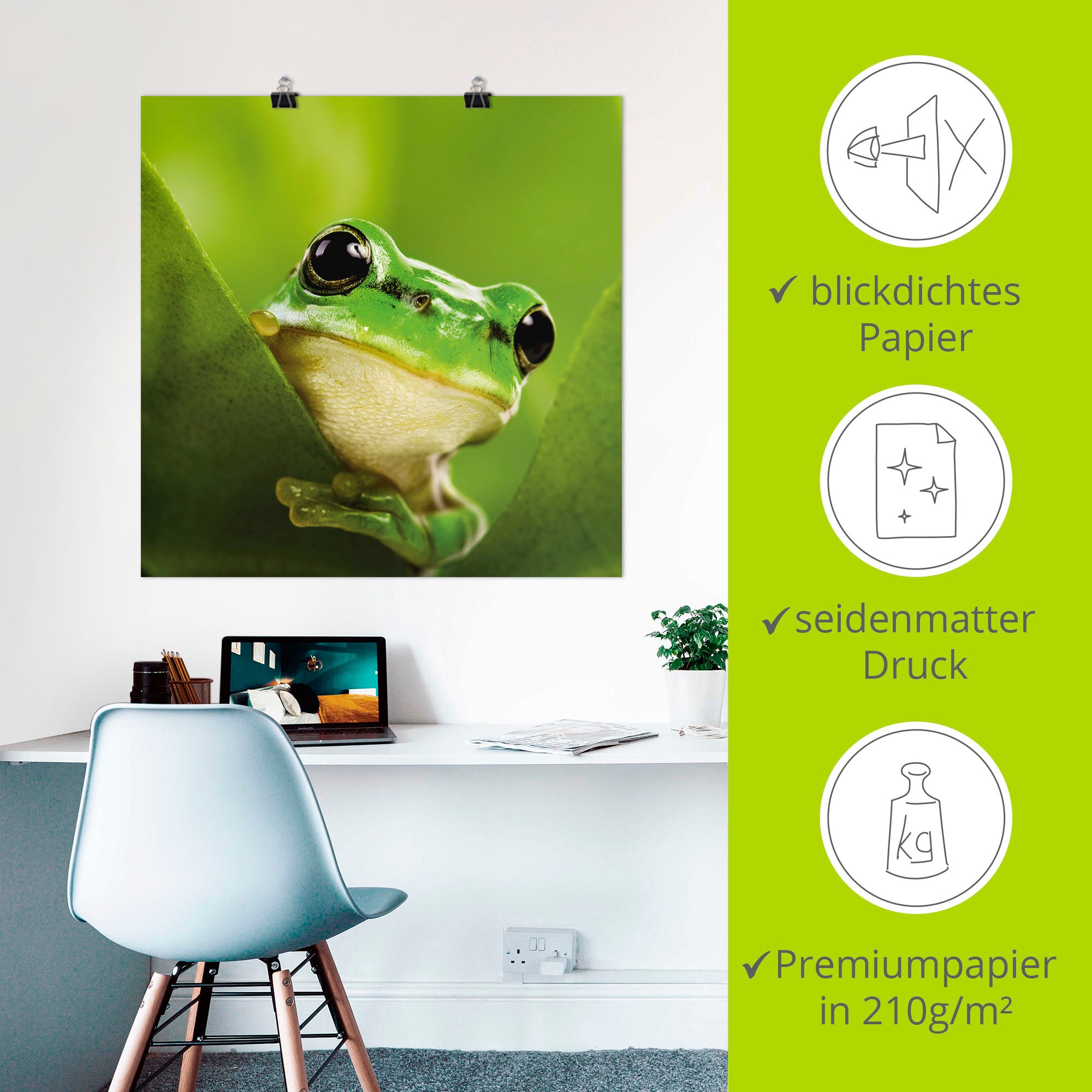 Artland Wandbild »Ausspähender Frosch« Wassertiere 1 Stk. tlg. als Leinwandbild, Poster in verschied. Größen