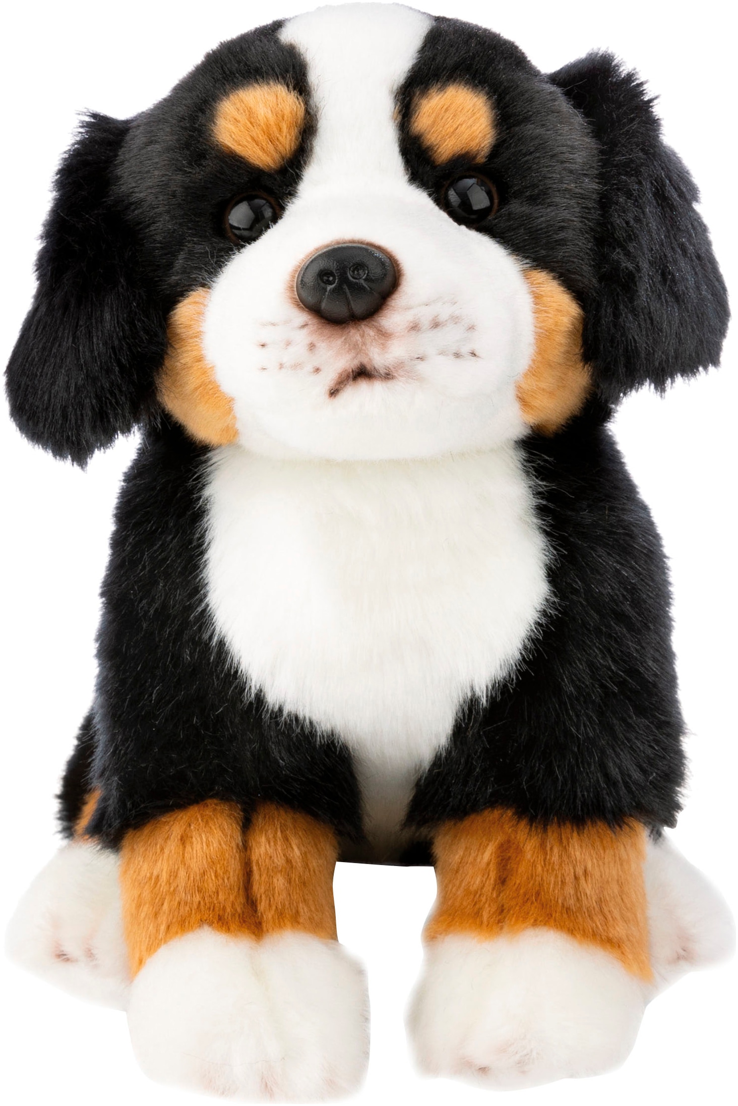 Nici Kuscheltier »Lifelike, Hund Berner Sennenhund, 20 cm«