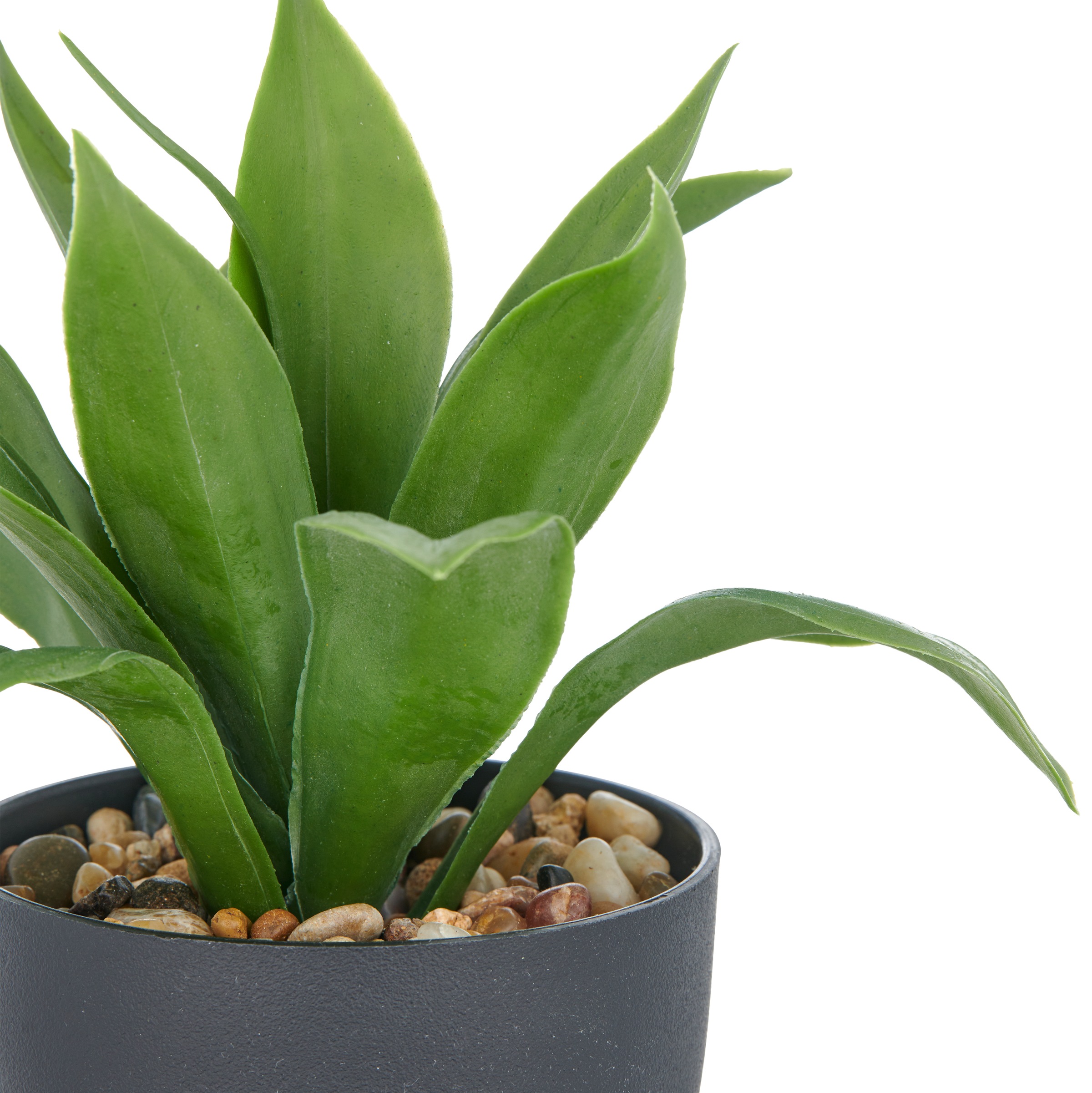 Creativ green Kunstpflanze »Sukkulenten« mit dekorativem Kies